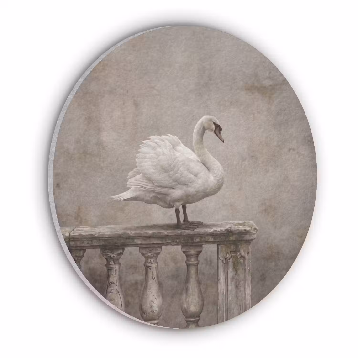 Zwaan - Elegant - Dieren - Wit Akoestische PET Vilt - Rond klein -3d