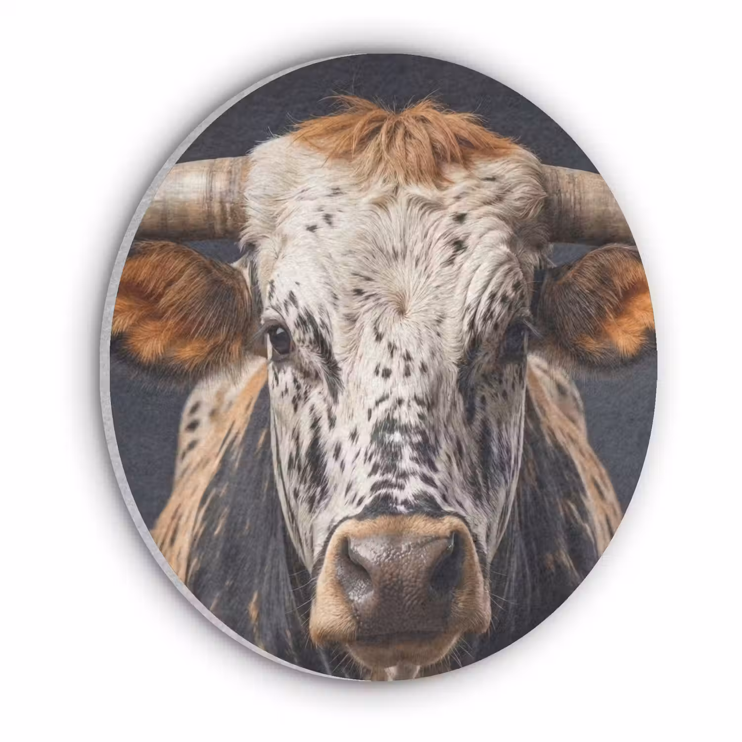Stier - Kleurrijk - Hoorns Akoestische PET Vilt - Rond klein -3d