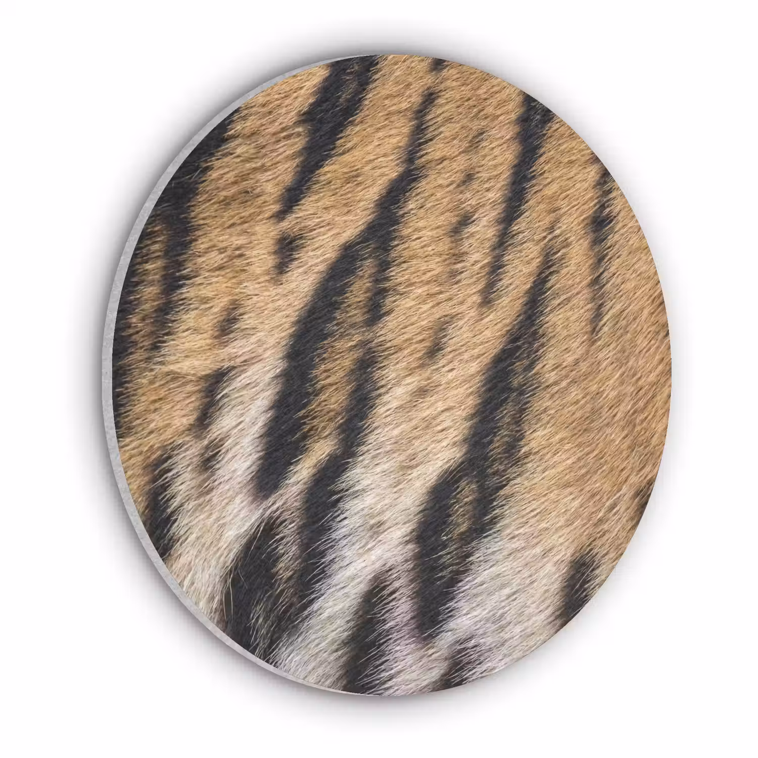 Tijgervacht - Klassiek - Zwart Akoestische PET Vilt - Rond klein -3d