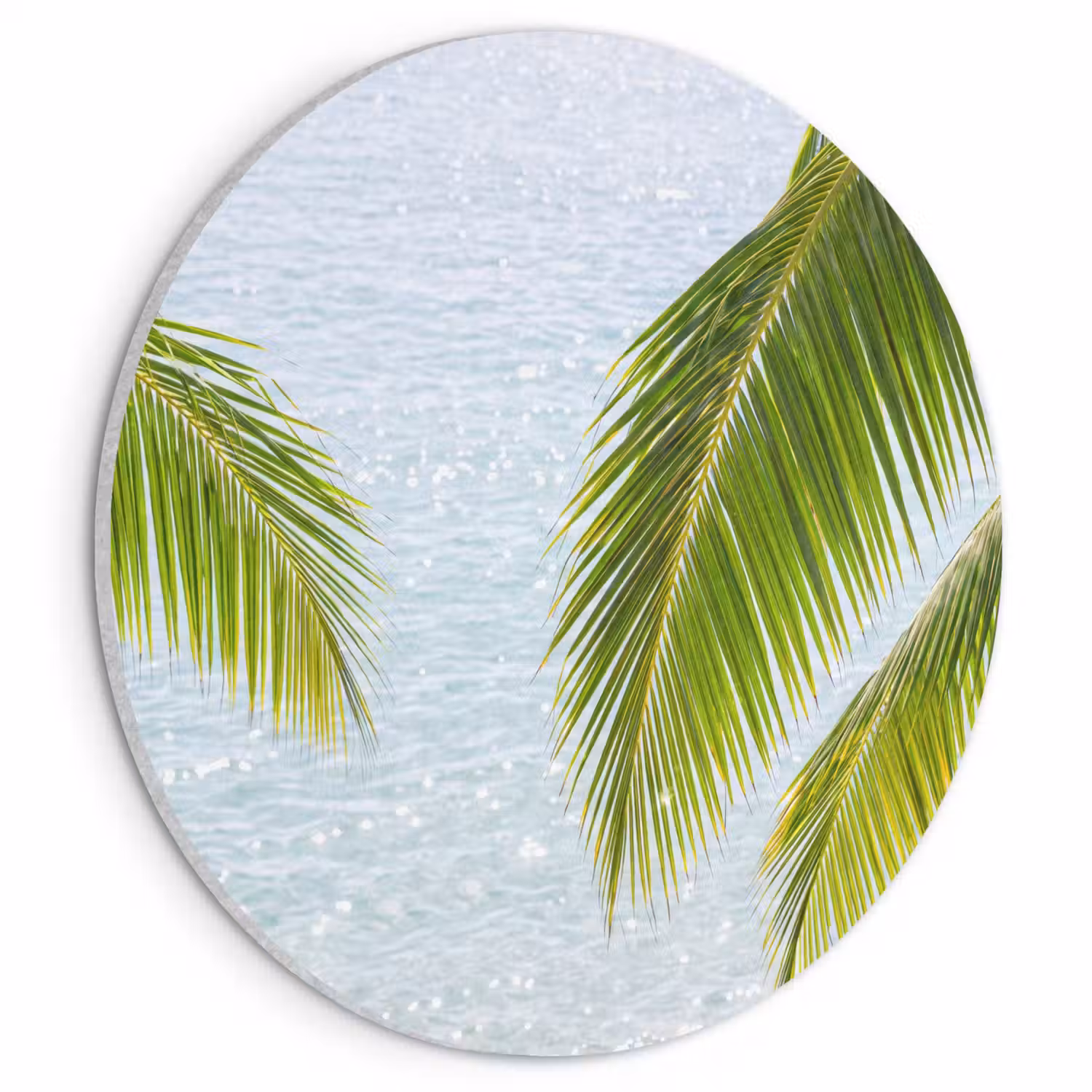 Boom - Bladeren - Water - Tropisch - Groen Akoestische PET Vilt - Rond klein -3d