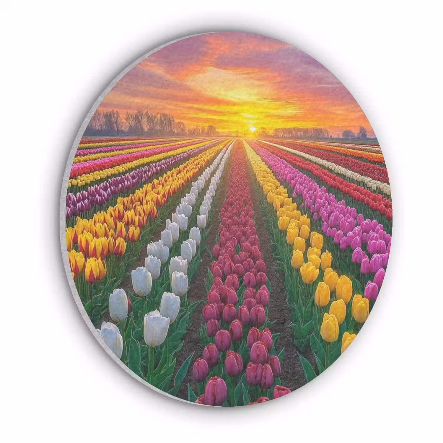 Tulpenveld - Zonsondergang - Kleurrijk Akoestische PET Vilt - Rond klein -3d