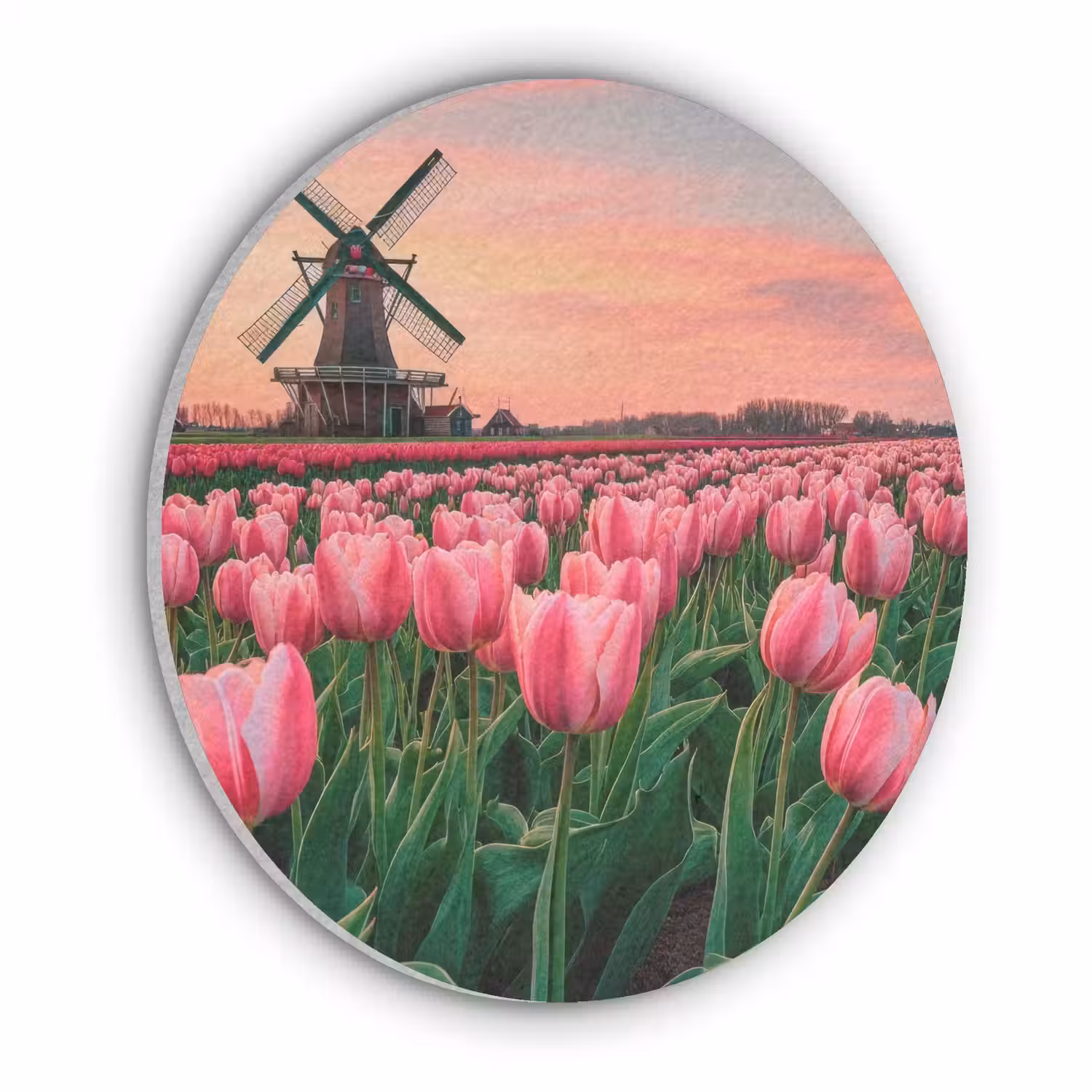 Tulpen - Molen - Nederland Akoestische PET Vilt - Rond klein -3d