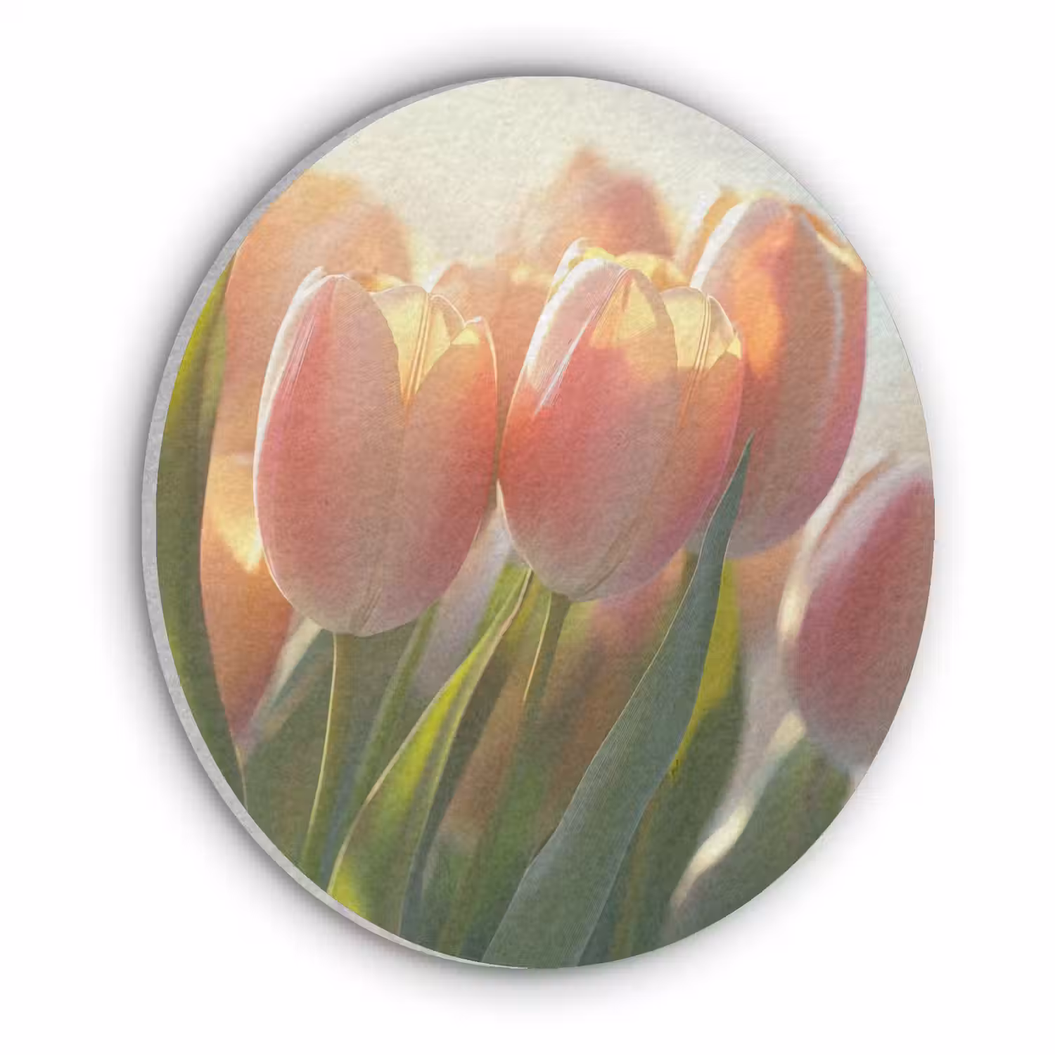 Tulpen - Roze - Zonnestralen Akoestische PET Vilt - Rond klein -3d