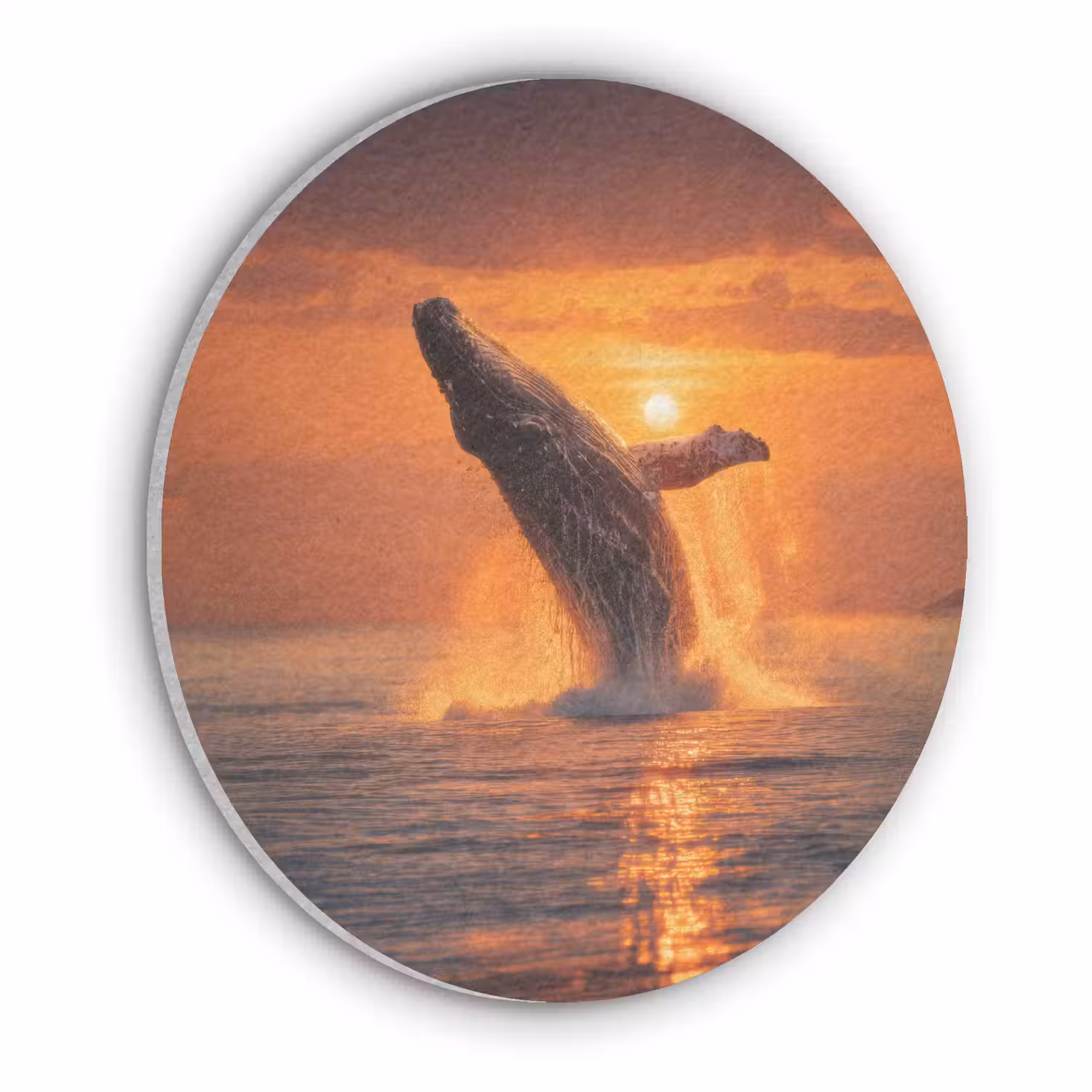 Walvis - Zon - Zee Akoestische PET Vilt - Rond klein -3d