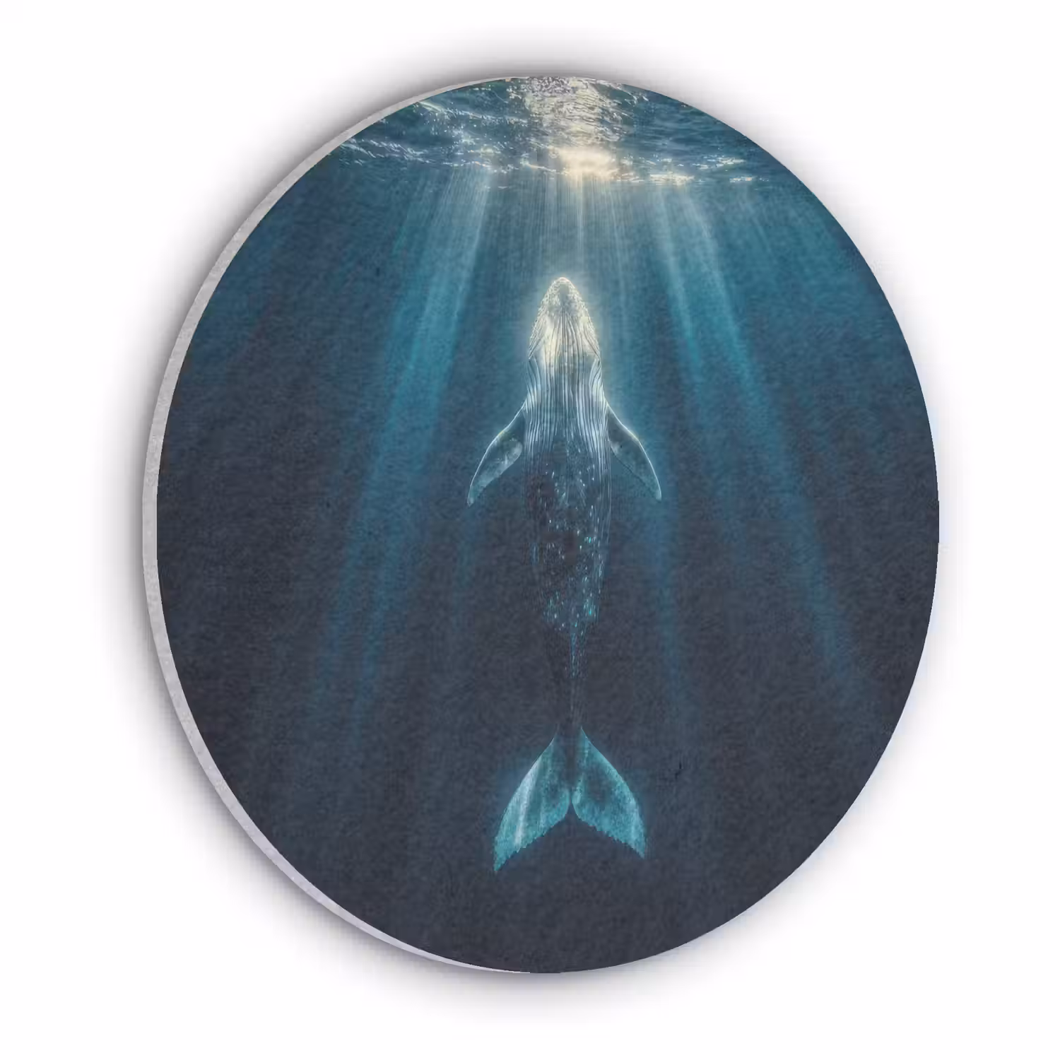 Walvis - Water - Zonnestralen - Blauw Akoestische PET Vilt - Rond klein -3d