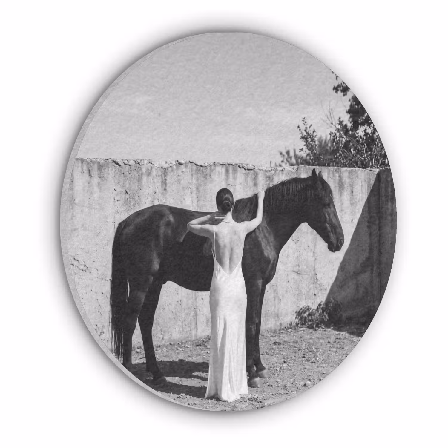 Vrouw - Paard - Artistiek Akoestische PET Vilt - Rond klein -3d