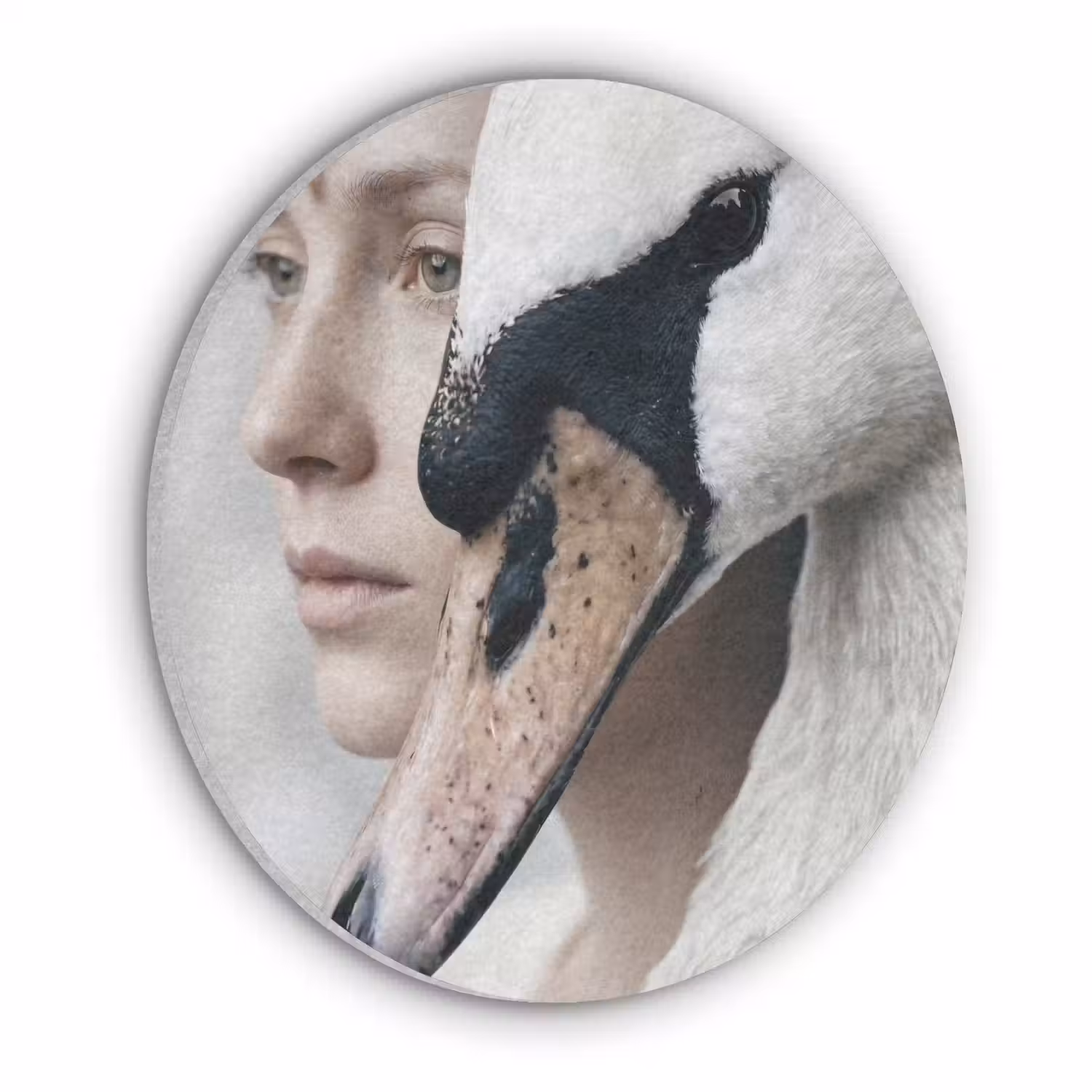 Vrouw - Zwaan - Wit Akoestische PET Vilt - Rond klein -3d