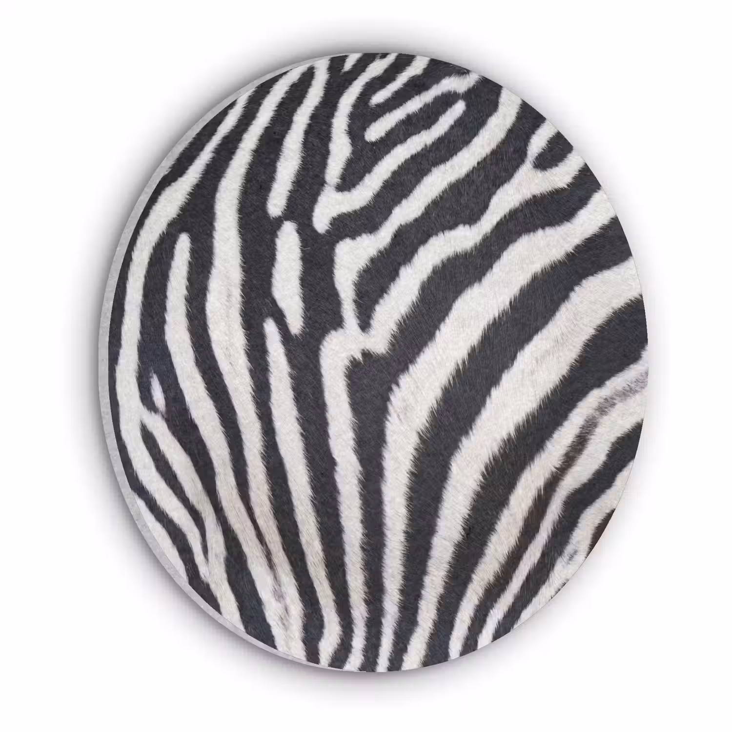 Zebra - Vacht - Klassiek - Zwart - Wit Akoestische PET Vilt - Rond klein -3d