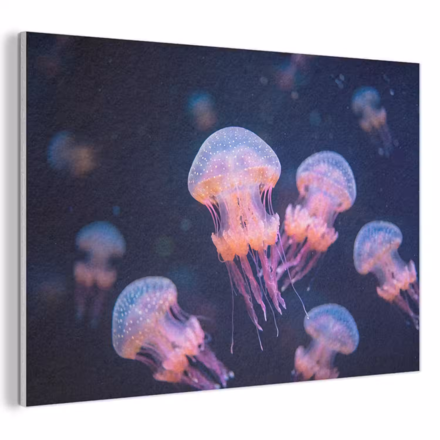 Dier - Onderwater - Natuur - Roze - Mysterieus PET vilt klein -3d
