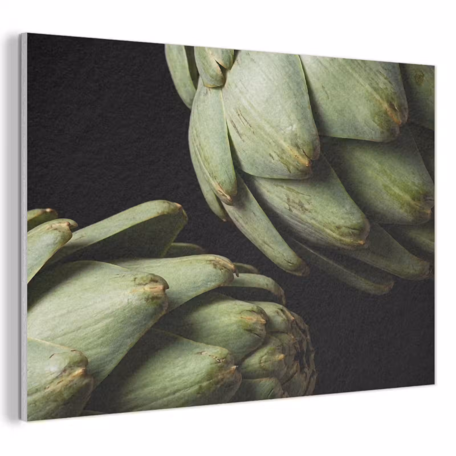 Acoustic Panel - Artichoke - Green - Food - Artisjok - Groen - Eten PET vilt klein