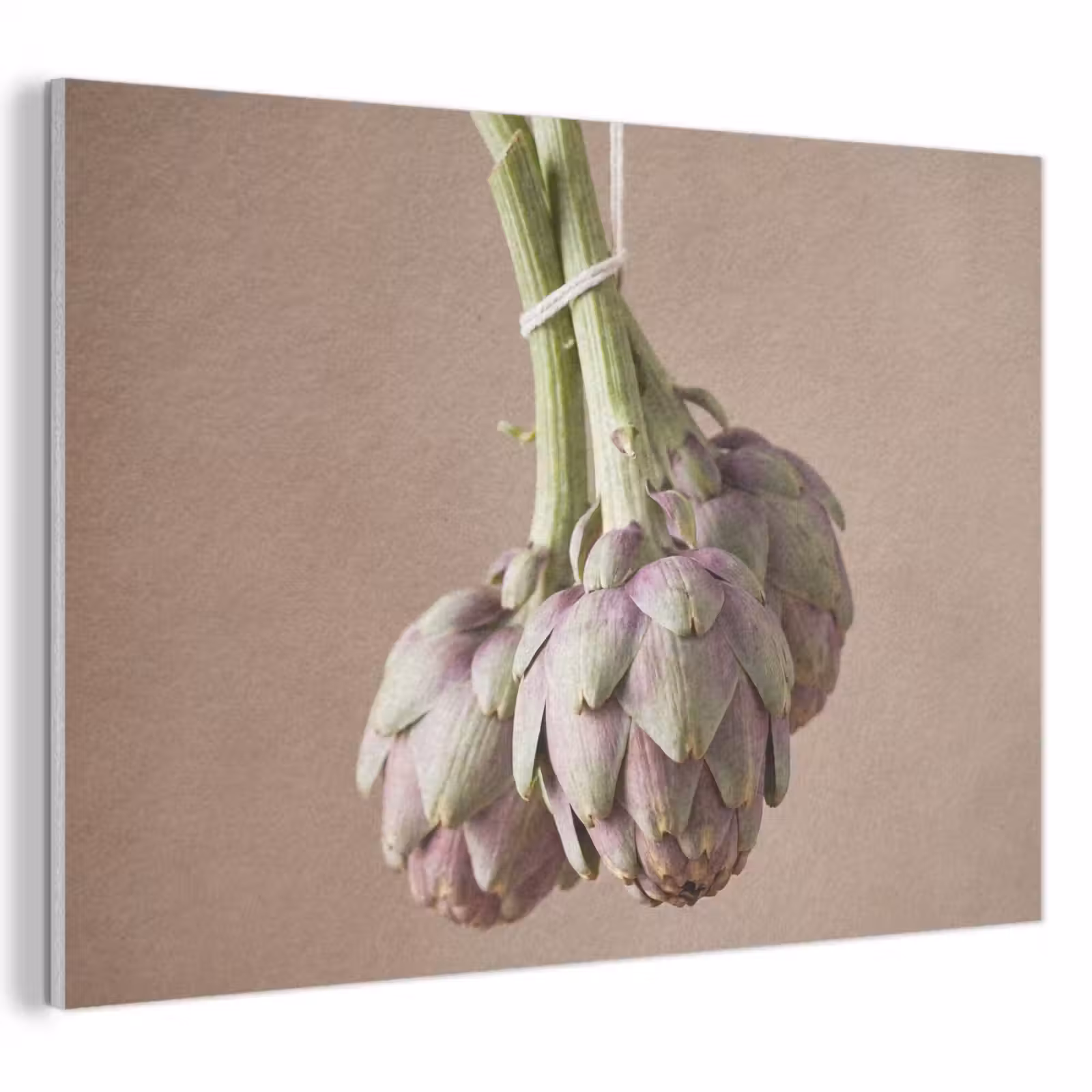 Acoustic Panel - Artichokes - Hanging - Vegetables - Artisjokken - Hangend - Groenten PET vilt klein