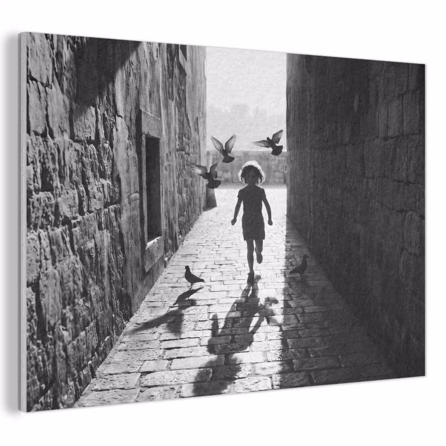 Kind - Vogel - Straat - Zwart-wit - Spelen PET vilt klein -3d