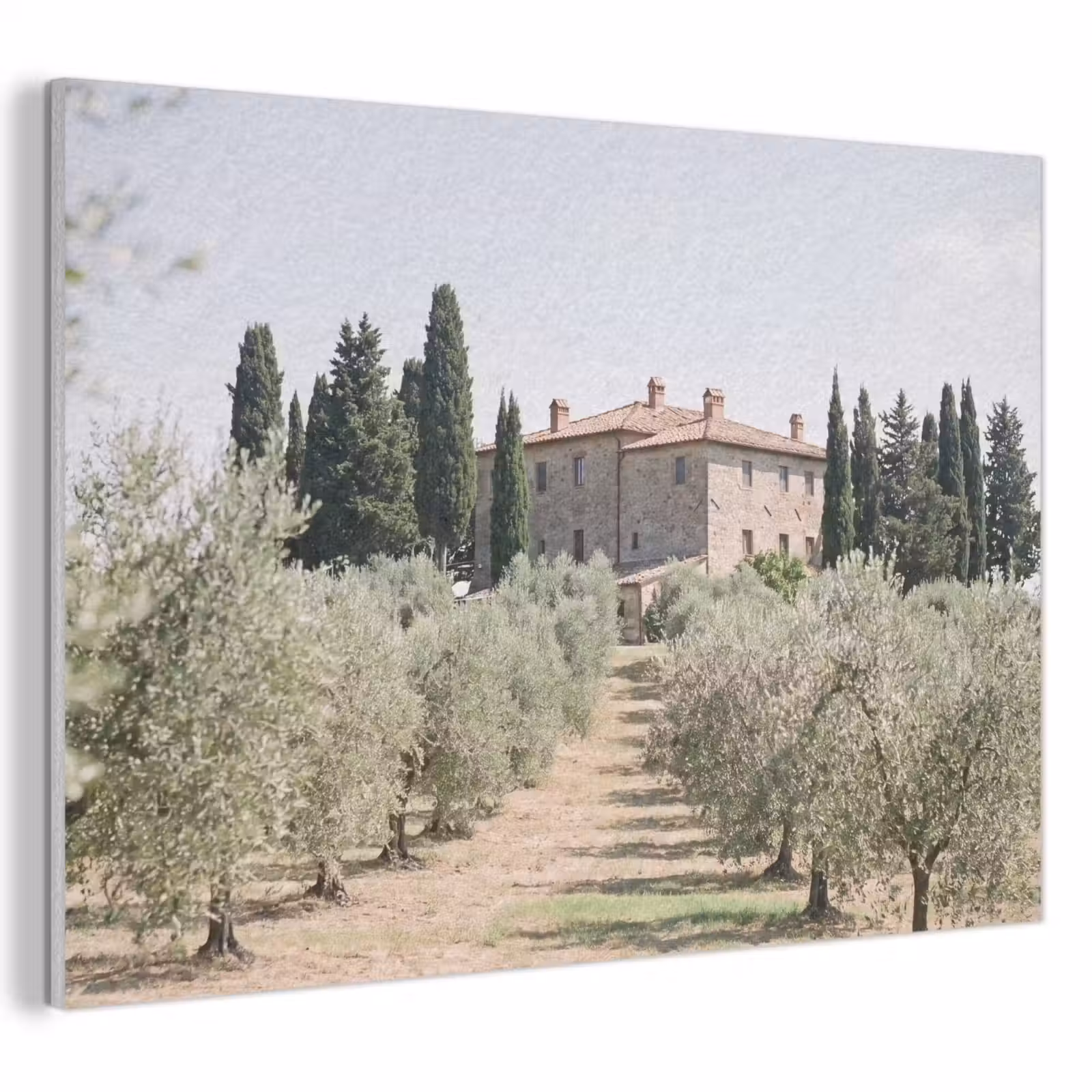 Acoustic Panel - Country house - olive tree - orchard - Landhuis - olijfboom - gaard PET vilt klein