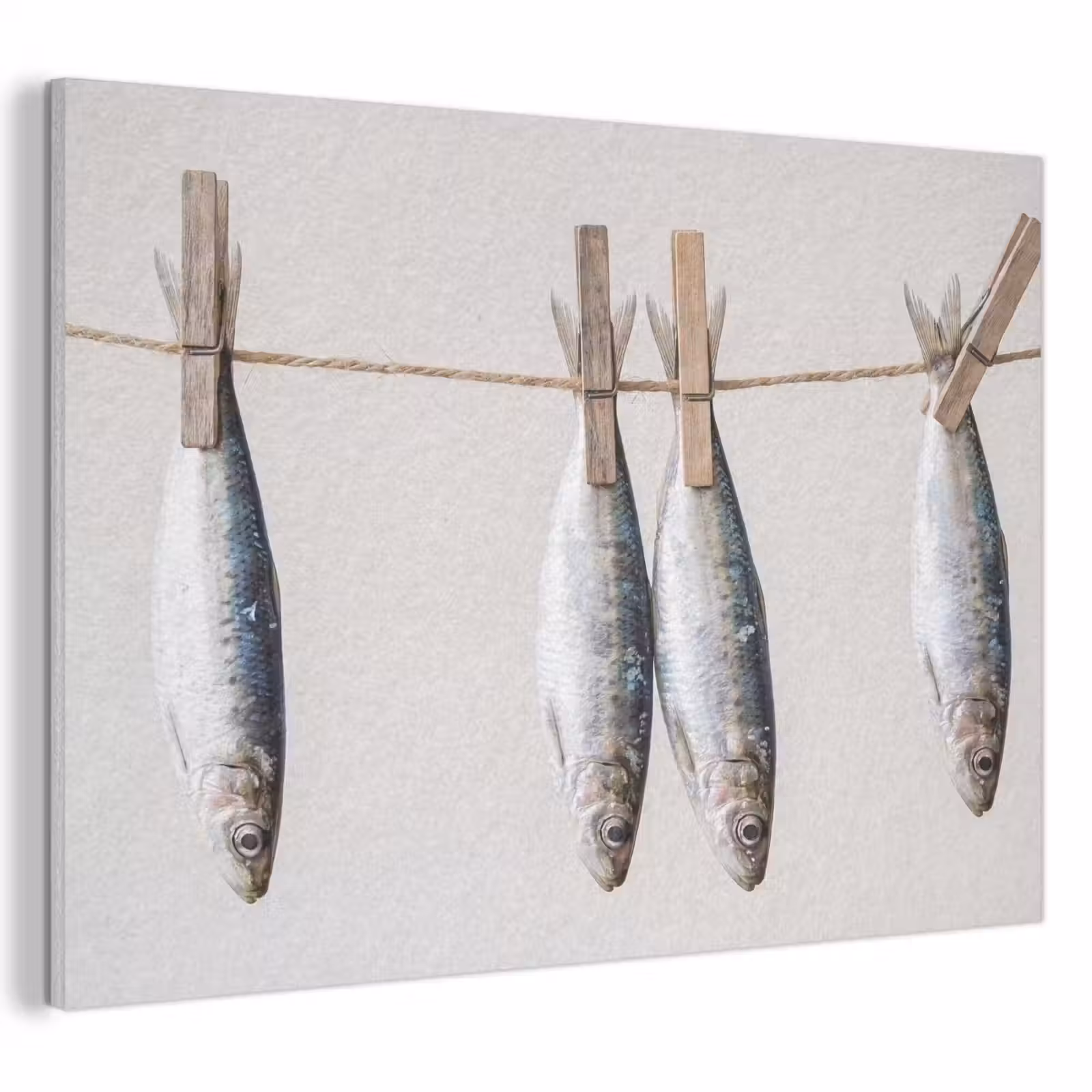 Acoustic Panel - Fish - Hanging - Food - Vis - Hangend - Eten PET vilt klein