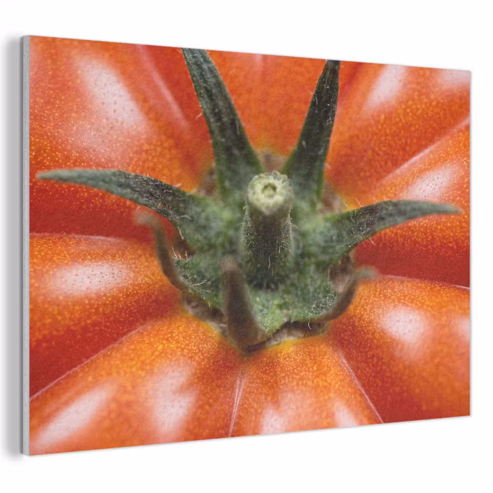 Acoustic Panel - Food - Tomato - Red - Eten - Tomaat - Rood PET vilt klein