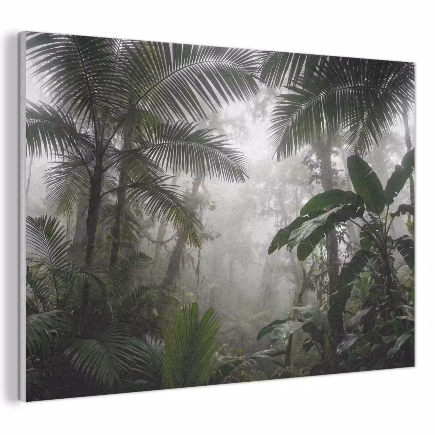 Natuur - Jungle - Mist - Groen - Bladeren PET vilt klein -3d