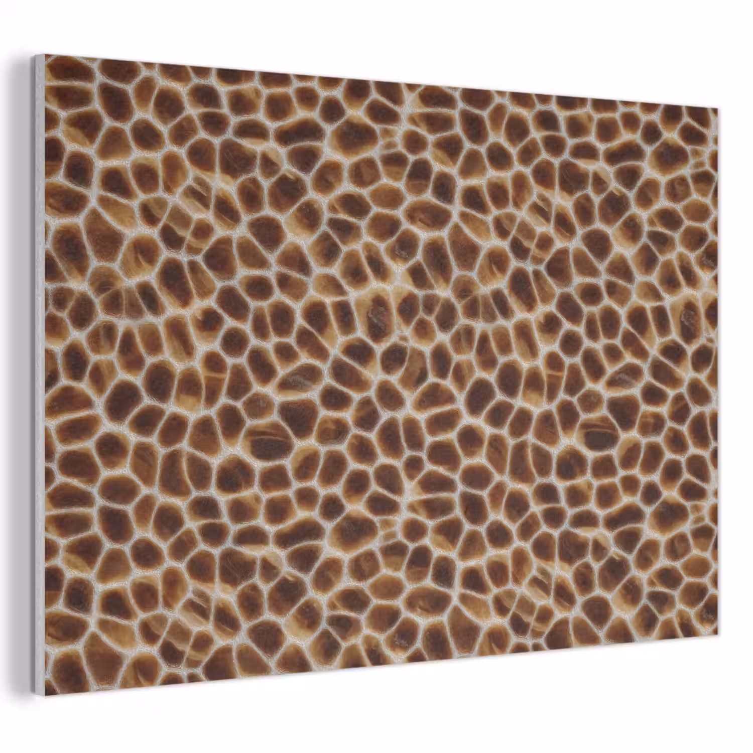 Schildpad - Bruin - Patroon PET vilt klein 837 -3d