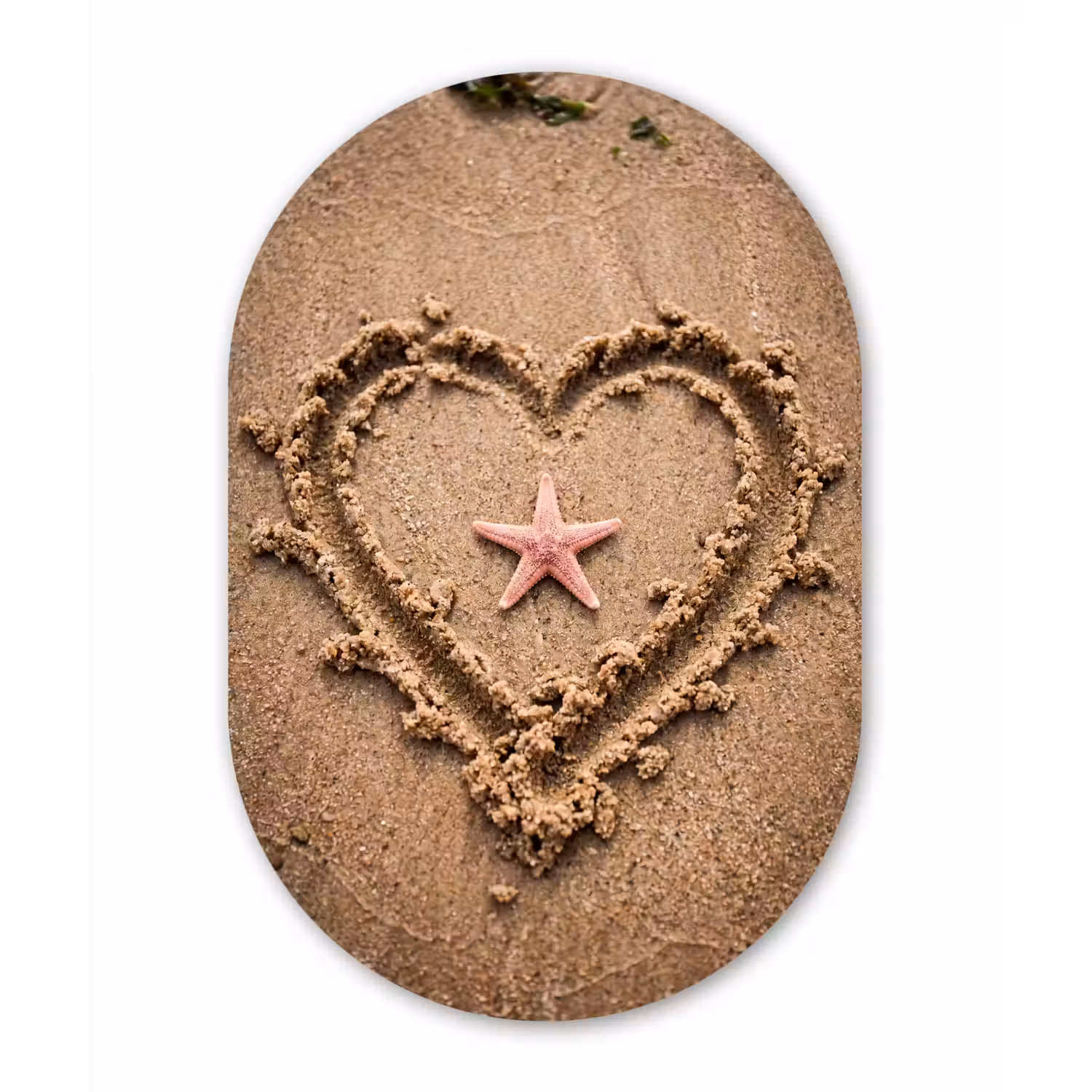 Dieren - Hart - Strand - Zand - Roze Wandcirkel Ovaal Aluminium middel -3d