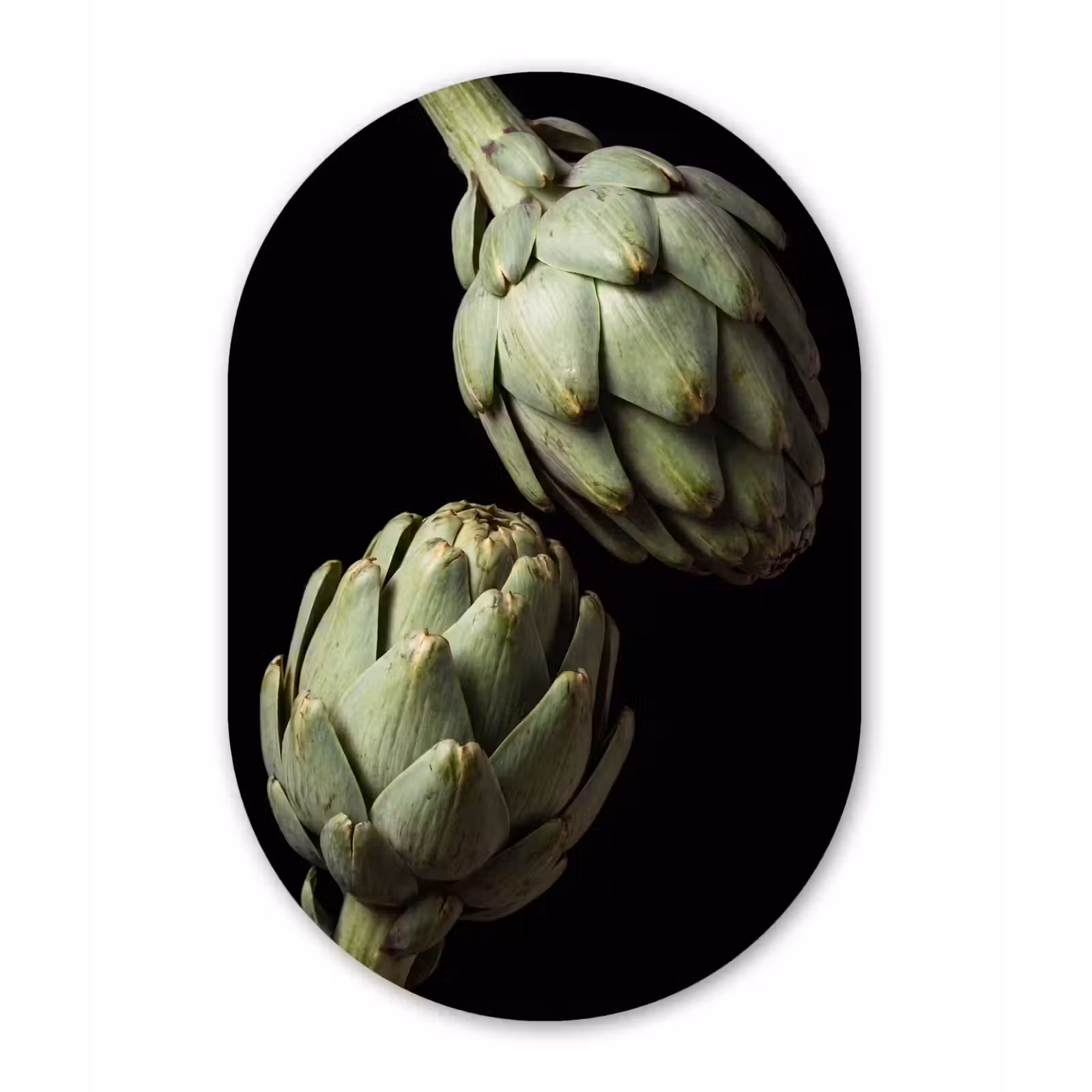 aluminium oval wall art - Artichoke - Green - Food - Artisjok - Groen - Eten Wandcirkel Ovaal Aluminium middel
