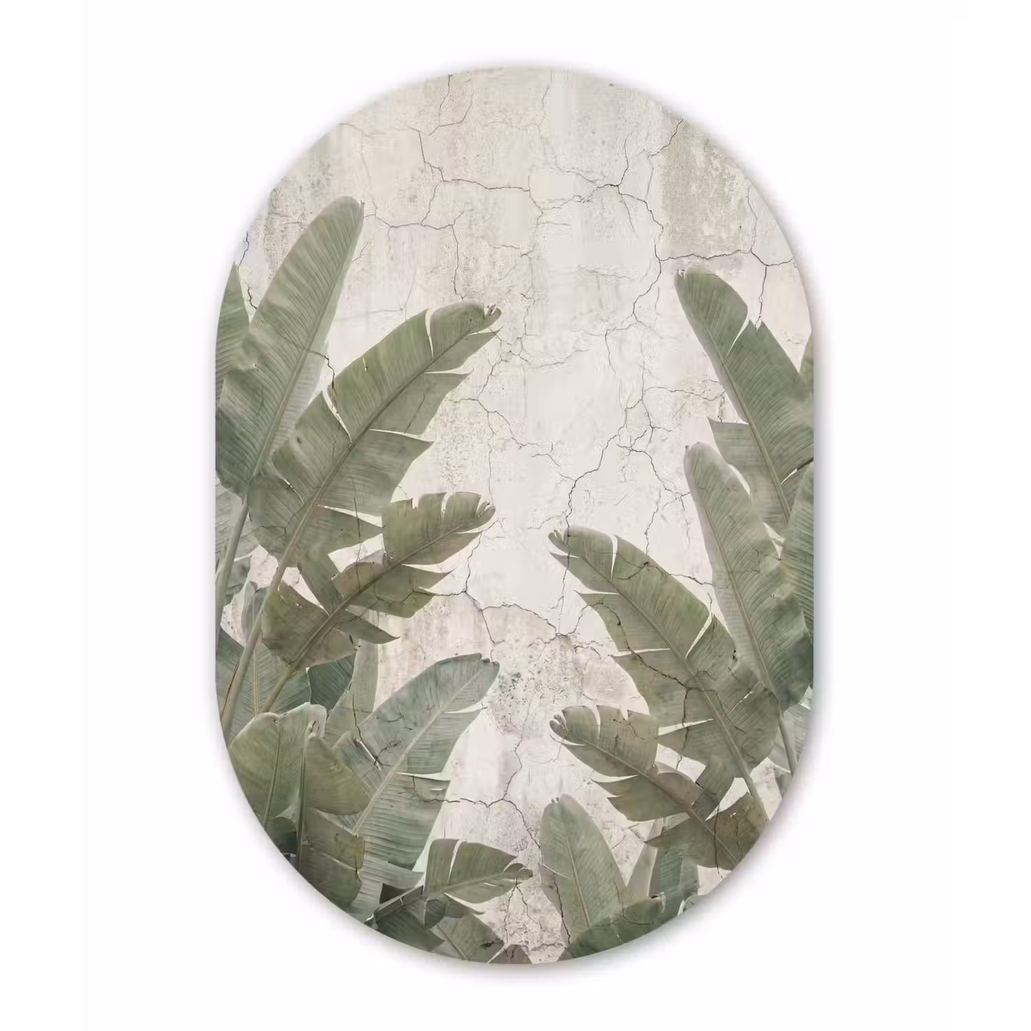 Bananenbladeren - Beton - Groen Wandcirkel Ovaal Aluminium middel -3d