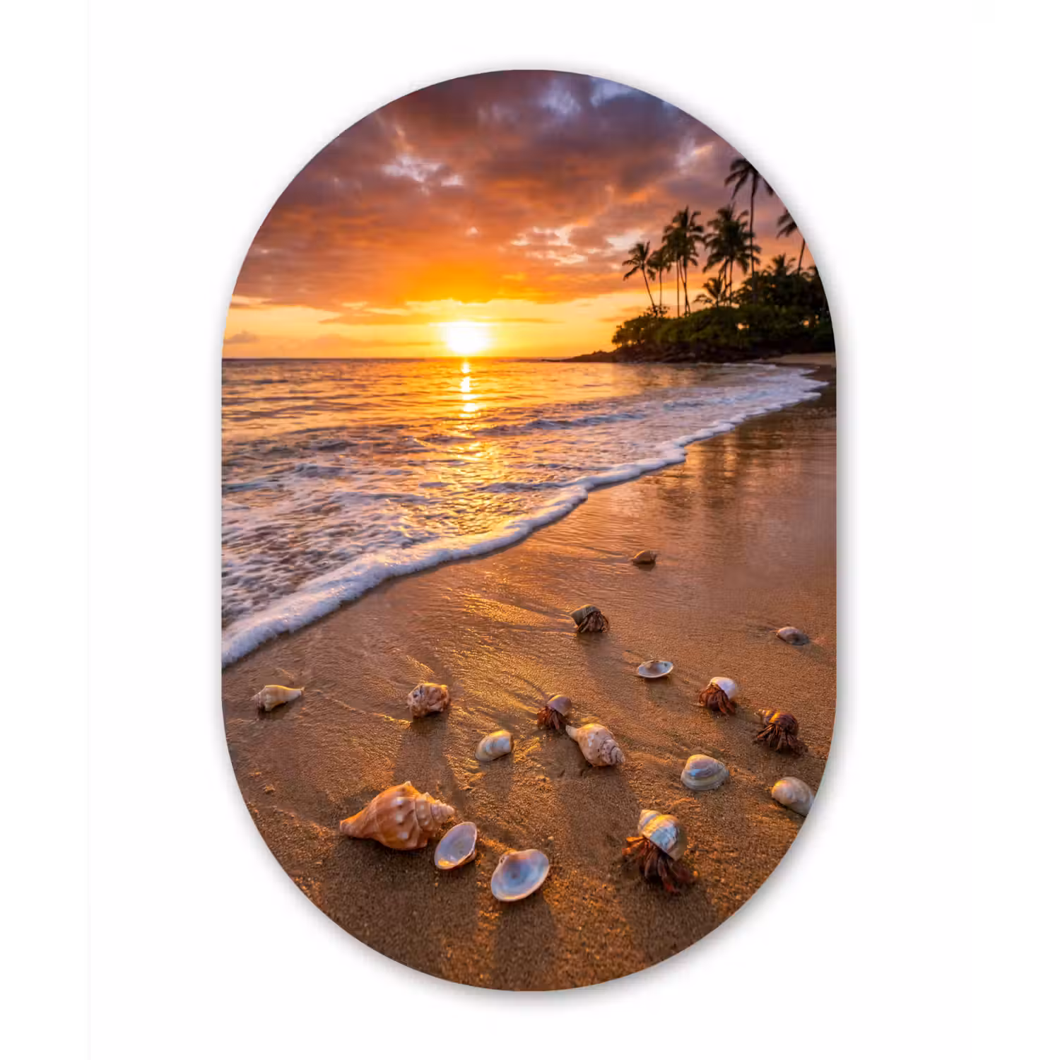 Strand - Zonsondergang - Palmbomen - Natuur - Oranje Wandcirkel Ovaal Aluminium middel -3d