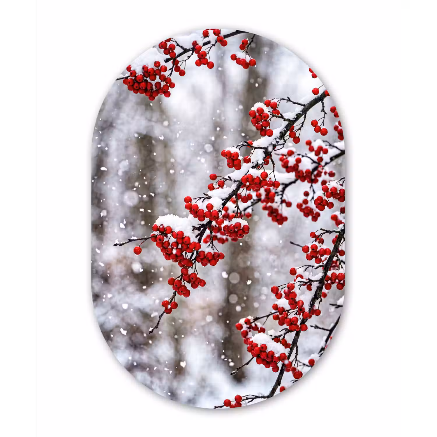 Bessen - Takken - Sneeuw - Winter - Kleurrijk Wandcirkel Ovaal Aluminium middel -3d