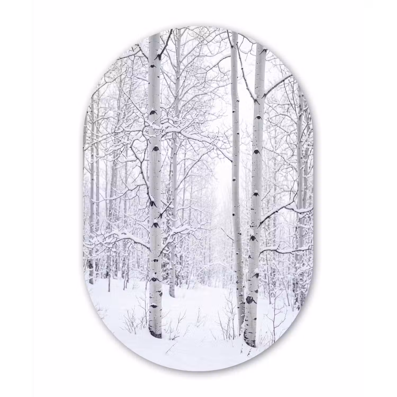 Berkenbomen - Sneeuw - Winter - Bos - Wit Wandcirkel Ovaal Aluminium middel -3d