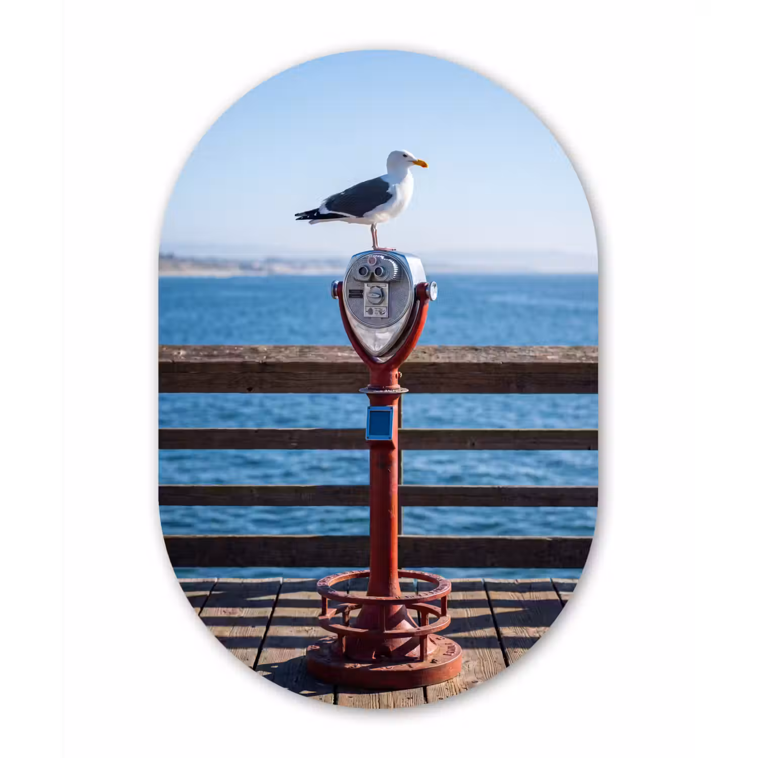 Vogel - Verrekijker - Kust - Zee - Blauw Wandcirkel Ovaal Aluminium middel -3d