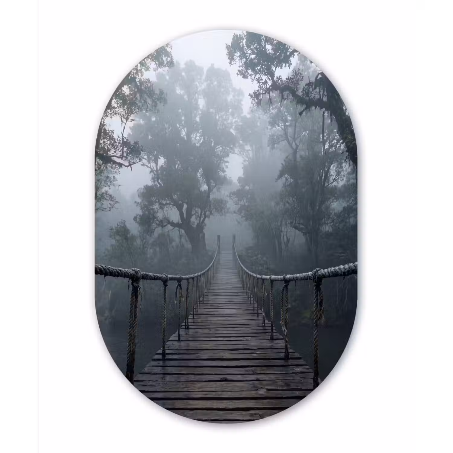 Brug - Jungle - Mist - Natuur Wandcirkel Ovaal Aluminium middel -3d