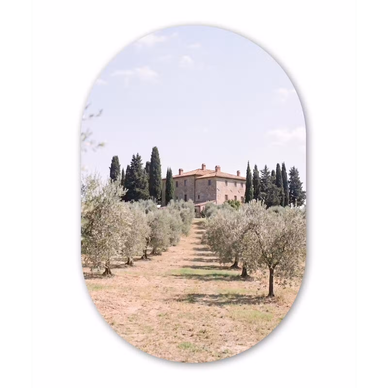 aluminium oval wall art - Country house - olive tree - orchard - Landhuis - olijfboom - gaard Wandcirkel Ovaal Aluminium middel