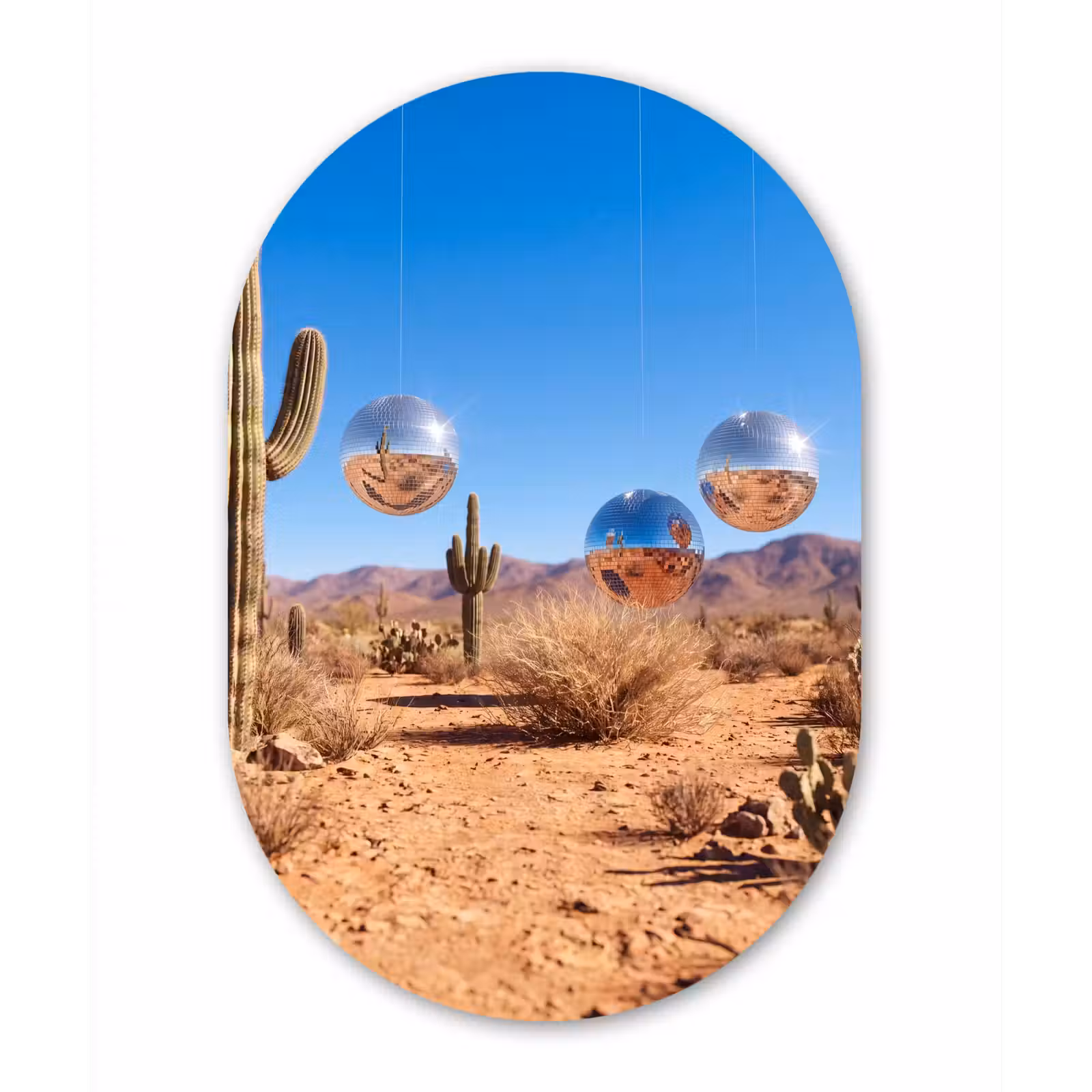 aluminium oval wall art - Desert - Mirror Ball - Art - Woestijn - Spiegelbal - Kunst Wandcirkel Ovaal Aluminium middel