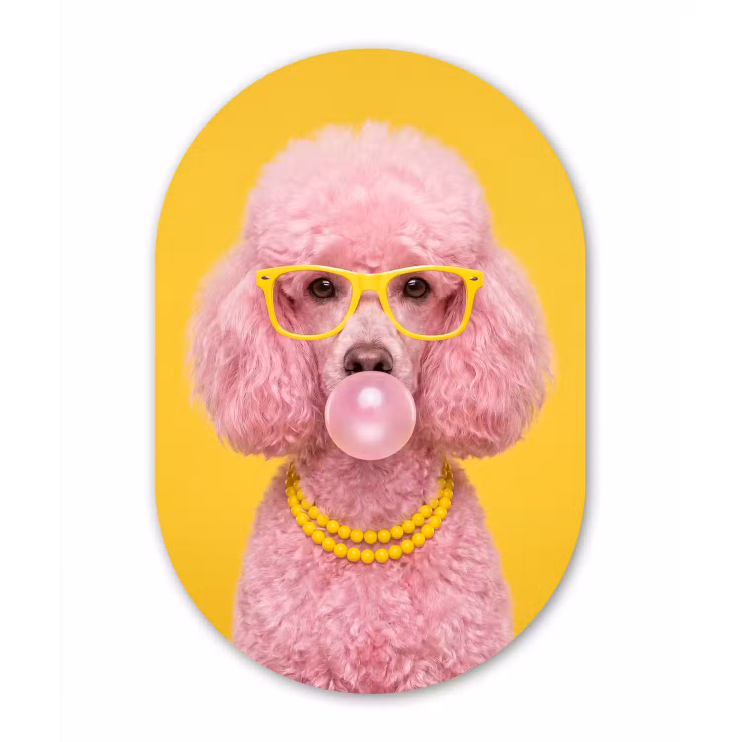 Hond - Kauwgum - Dieren - Modern - Roze Wandcirkel Ovaal Aluminium middel -3d