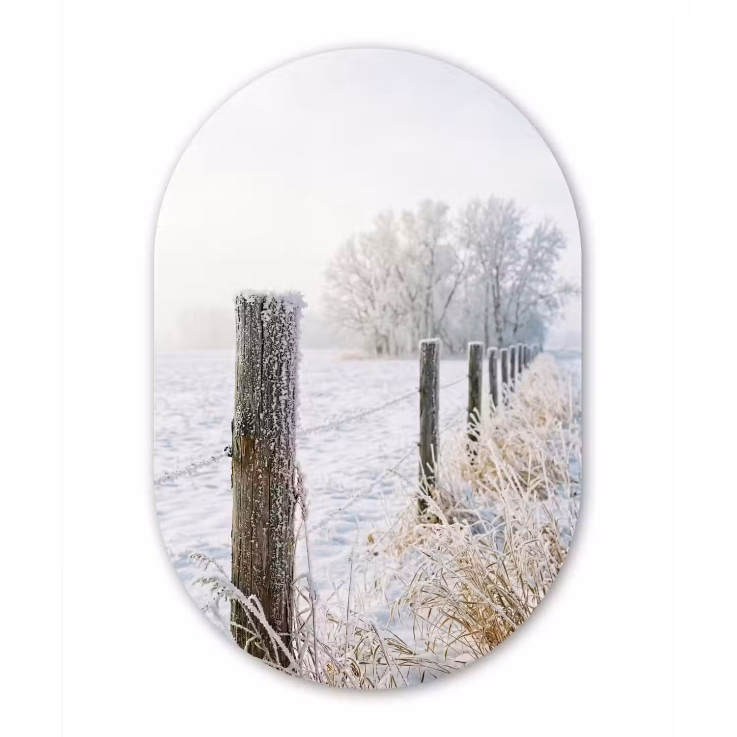 Hek - Sneeuw - Mist - Platteland - Nostalgisch Wandcirkel Ovaal Aluminium middel -3d