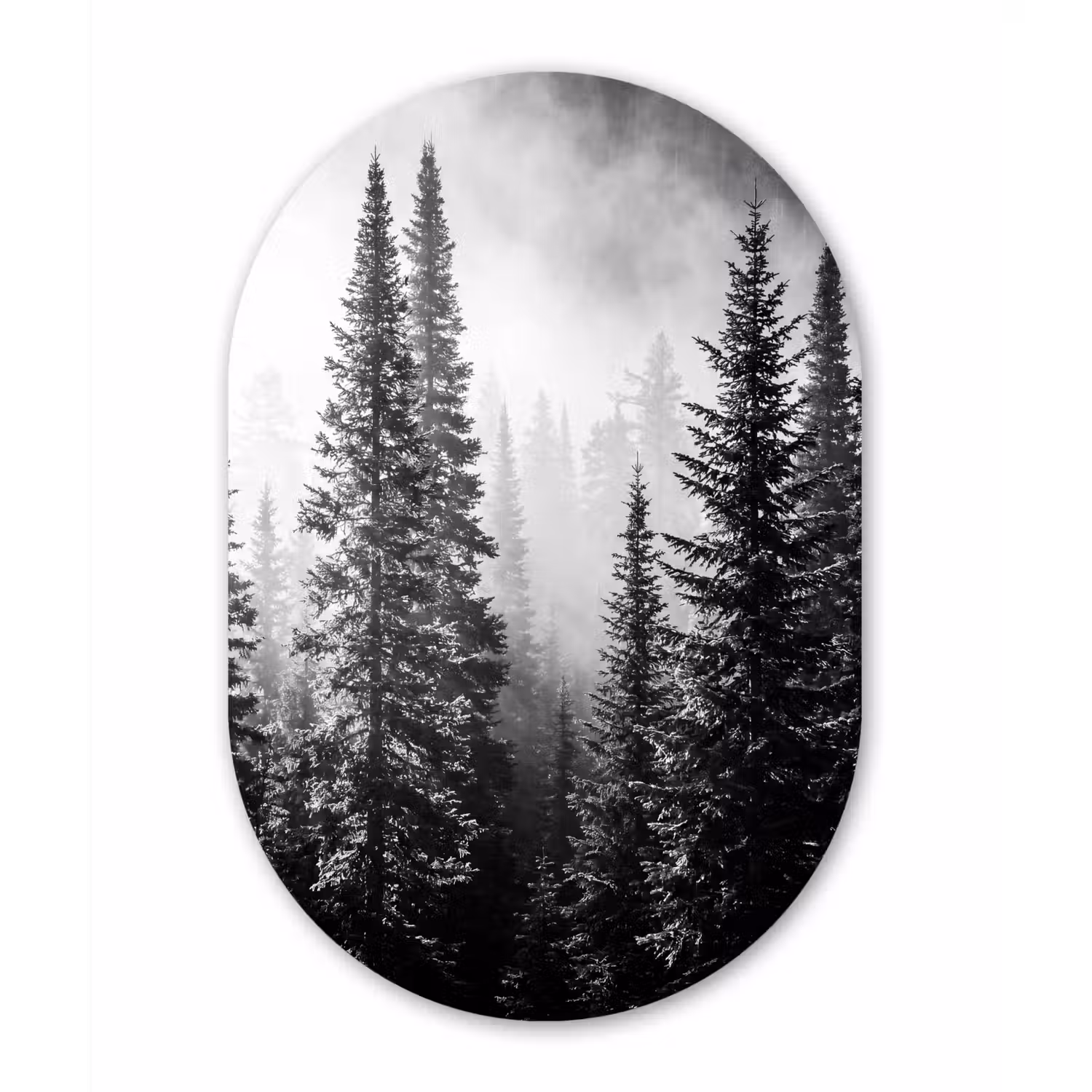 Bos - Mist - Winter - Monochroom - Natuur Wandcirkel Ovaal Aluminium middel -3d