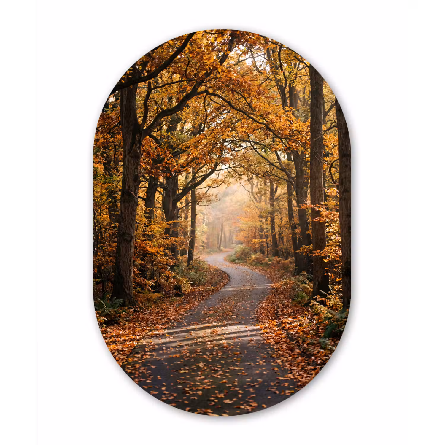 Bospad - Herfstbos - Bladeren - Oranje - Nostalgisch Wandcirkel Ovaal Aluminium middel -3d