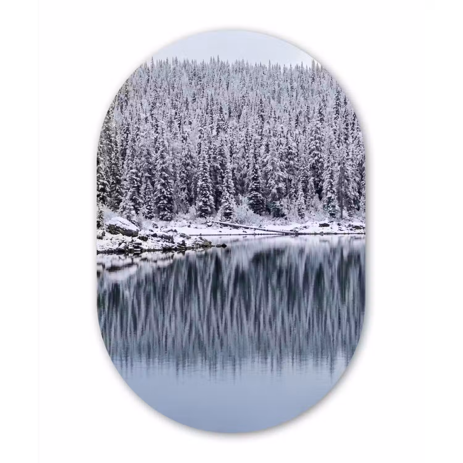 Bos - Reflectie - Meer - Winter - Serene Wandcirkel Ovaal Aluminium middel -3d