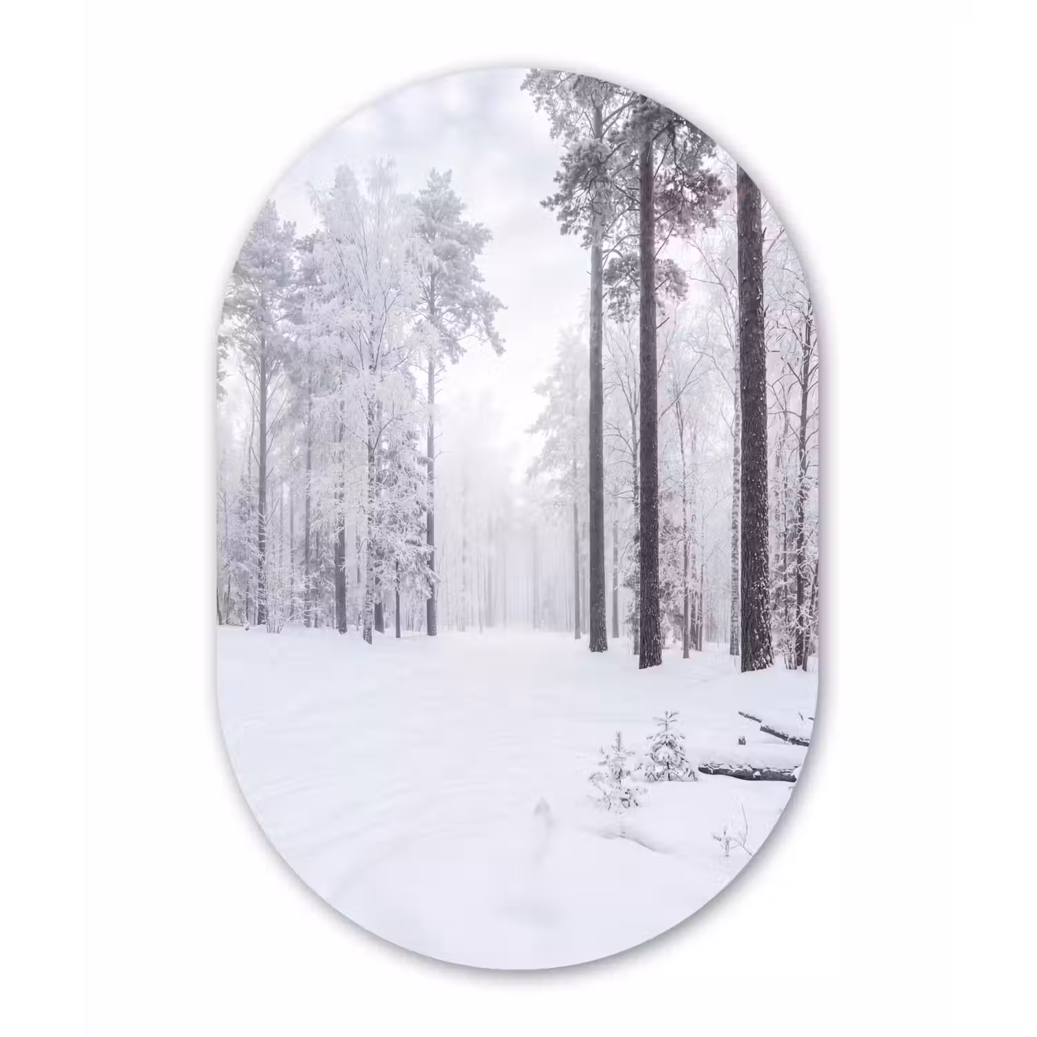 Bos - Sneeuw - Pad - Winter - Stilte Wandcirkel Ovaal Aluminium middel -3d