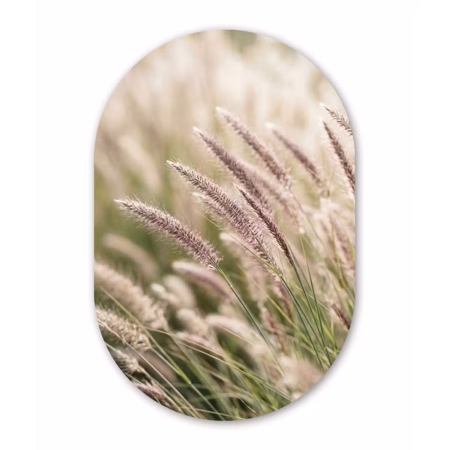 Gras - Close up - Groen Wandcirkel Ovaal Aluminium middel -3d
