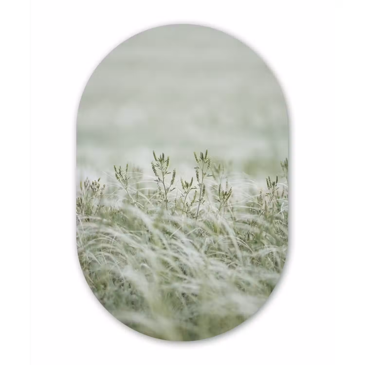 Grassen - Minimalistisch - Groen Wandcirkel Ovaal Aluminium middel -3d