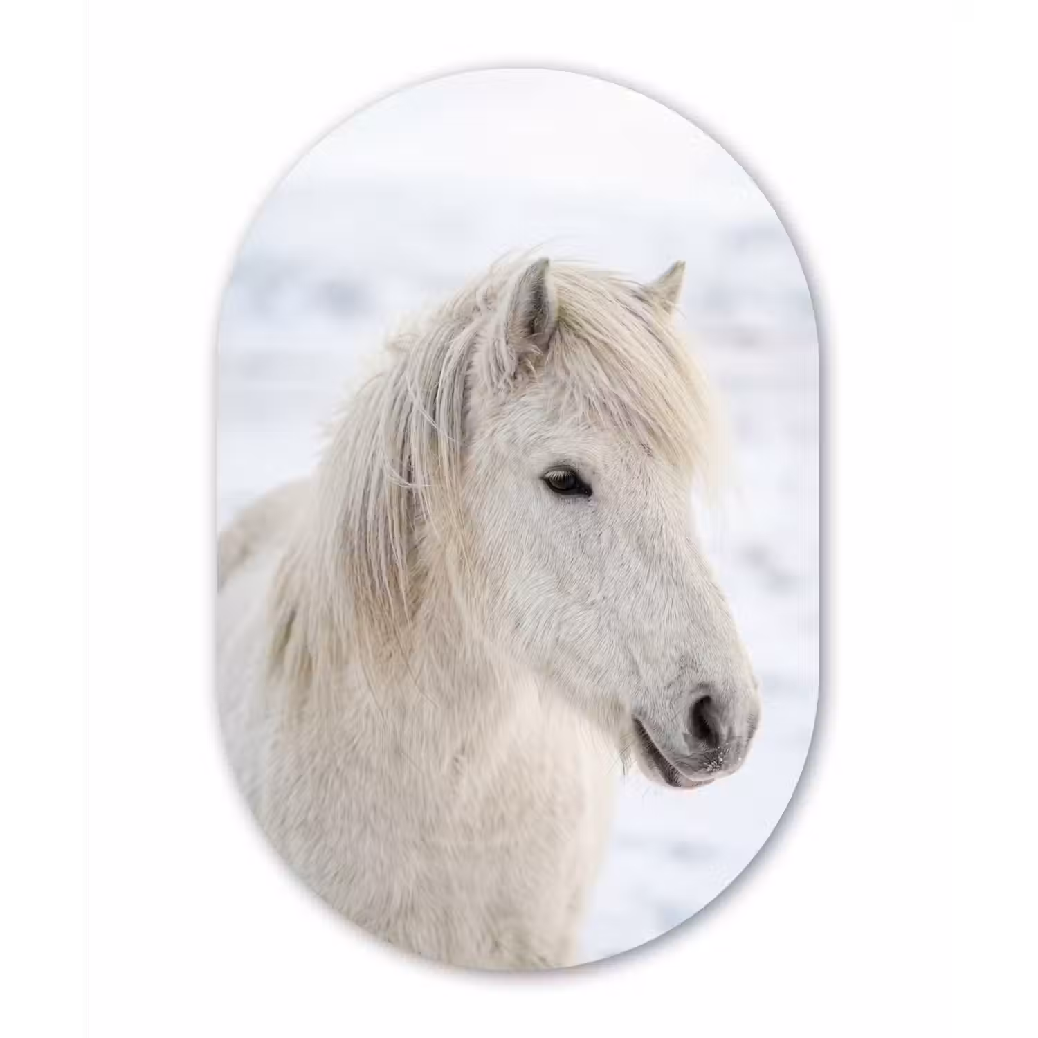 Paard - Kop - Winter - Dieren - Wit Wandcirkel Ovaal Aluminium middel -3d