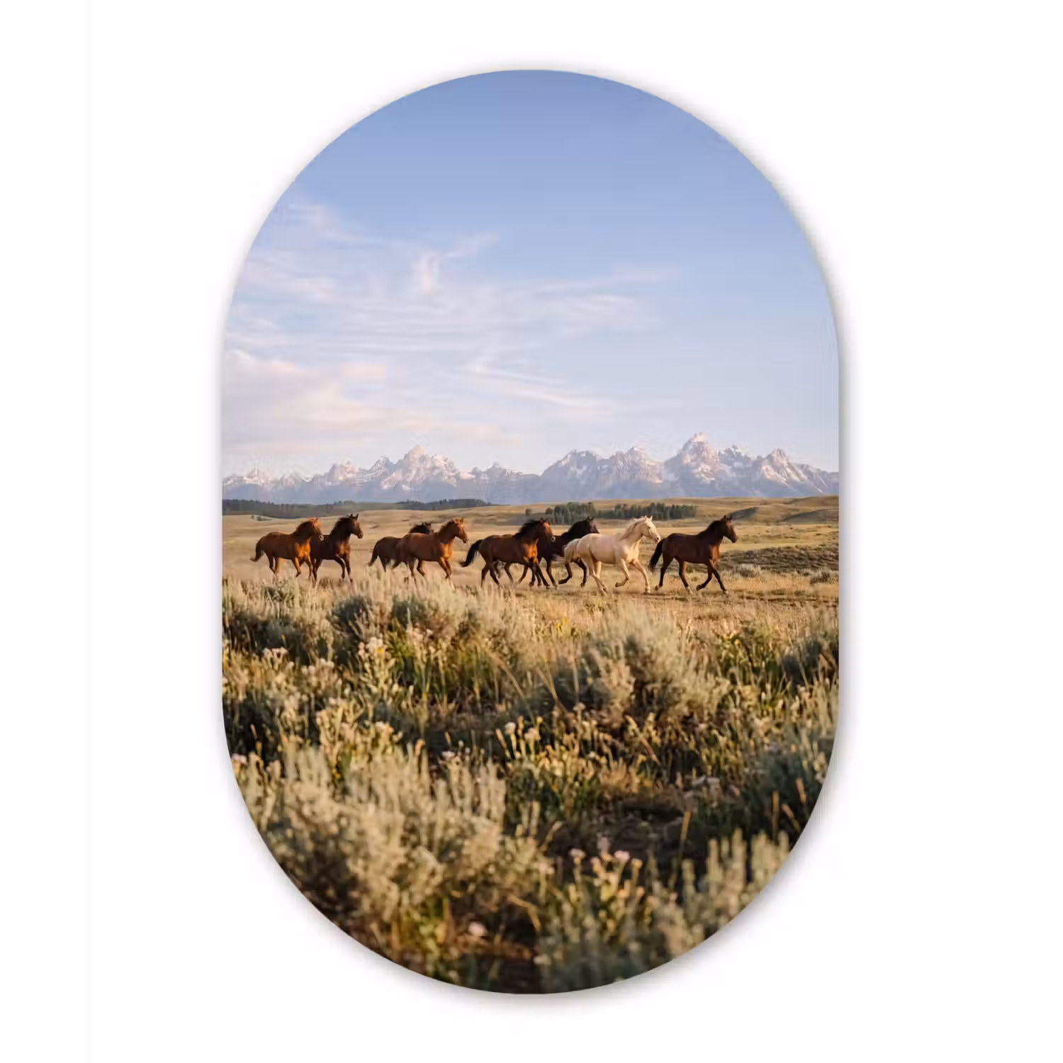 Paarden - Kudde - Bergen - Vrijheid - Wild Wandcirkel Ovaal Aluminium middel -3d