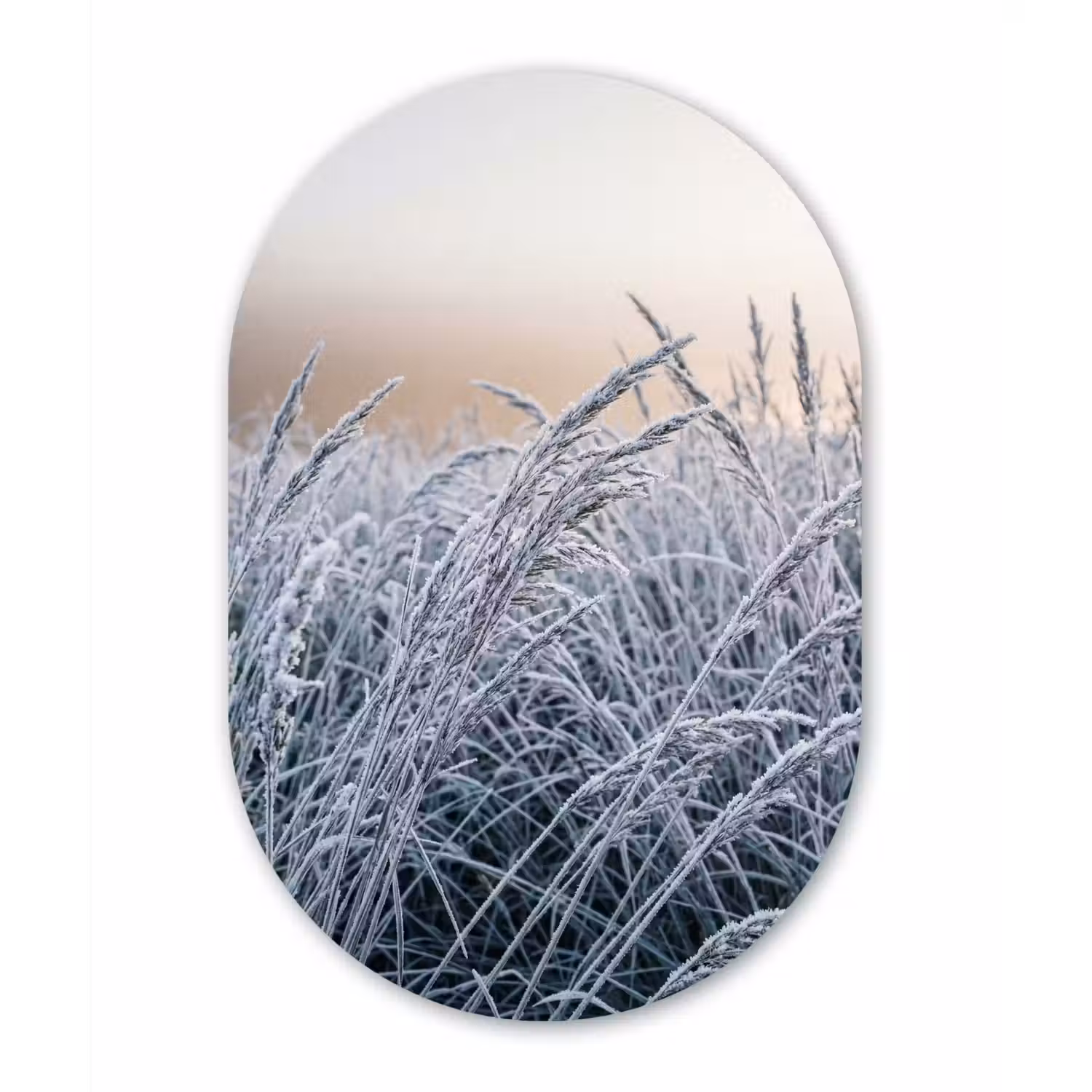 Rijp - Gras - Kristallen - Winter - Minimalistisch Wandcirkel Ovaal Aluminium middel -3d