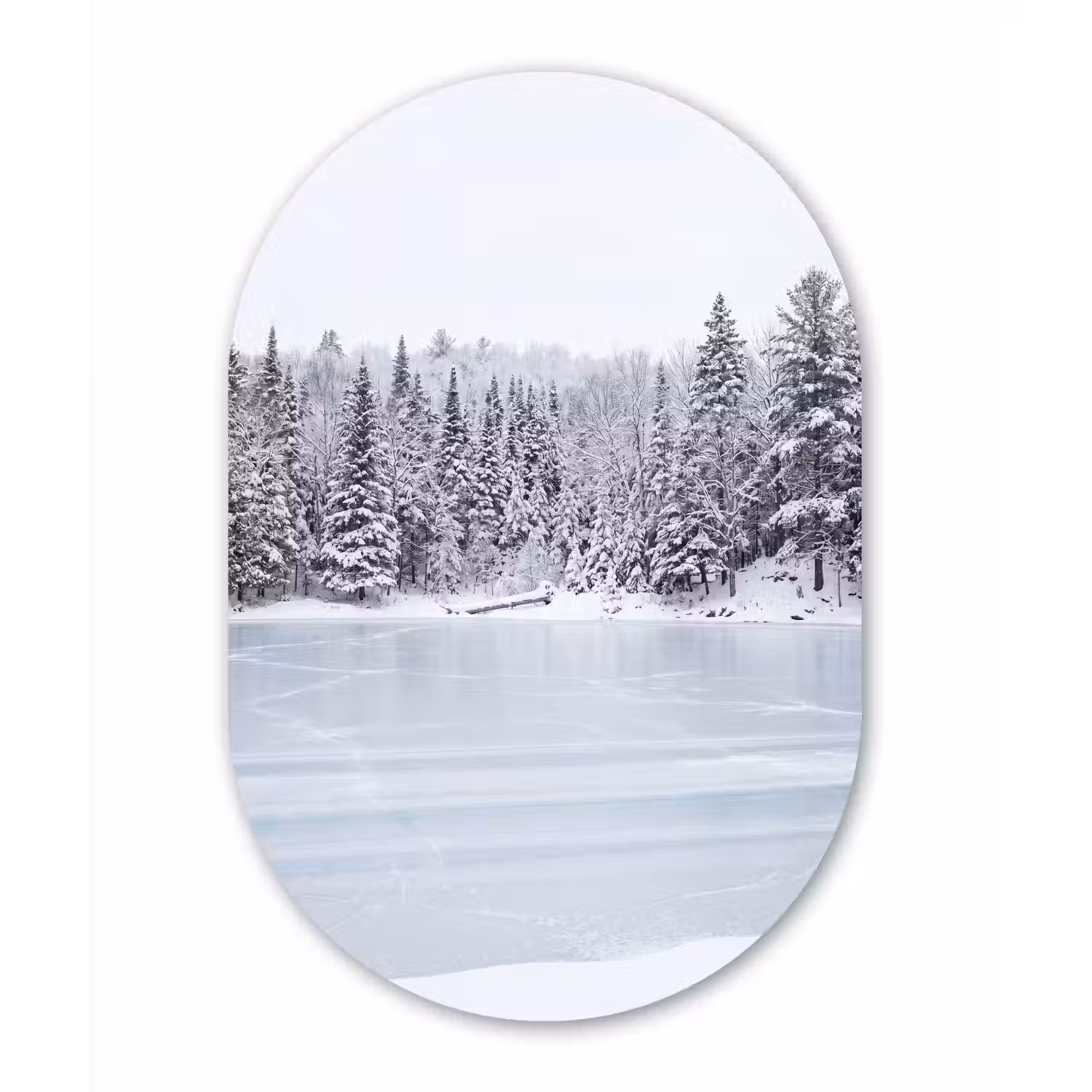 Meer - Dennen - IJs - Winter - Rustgevend Wandcirkel Ovaal Aluminium middel -3d