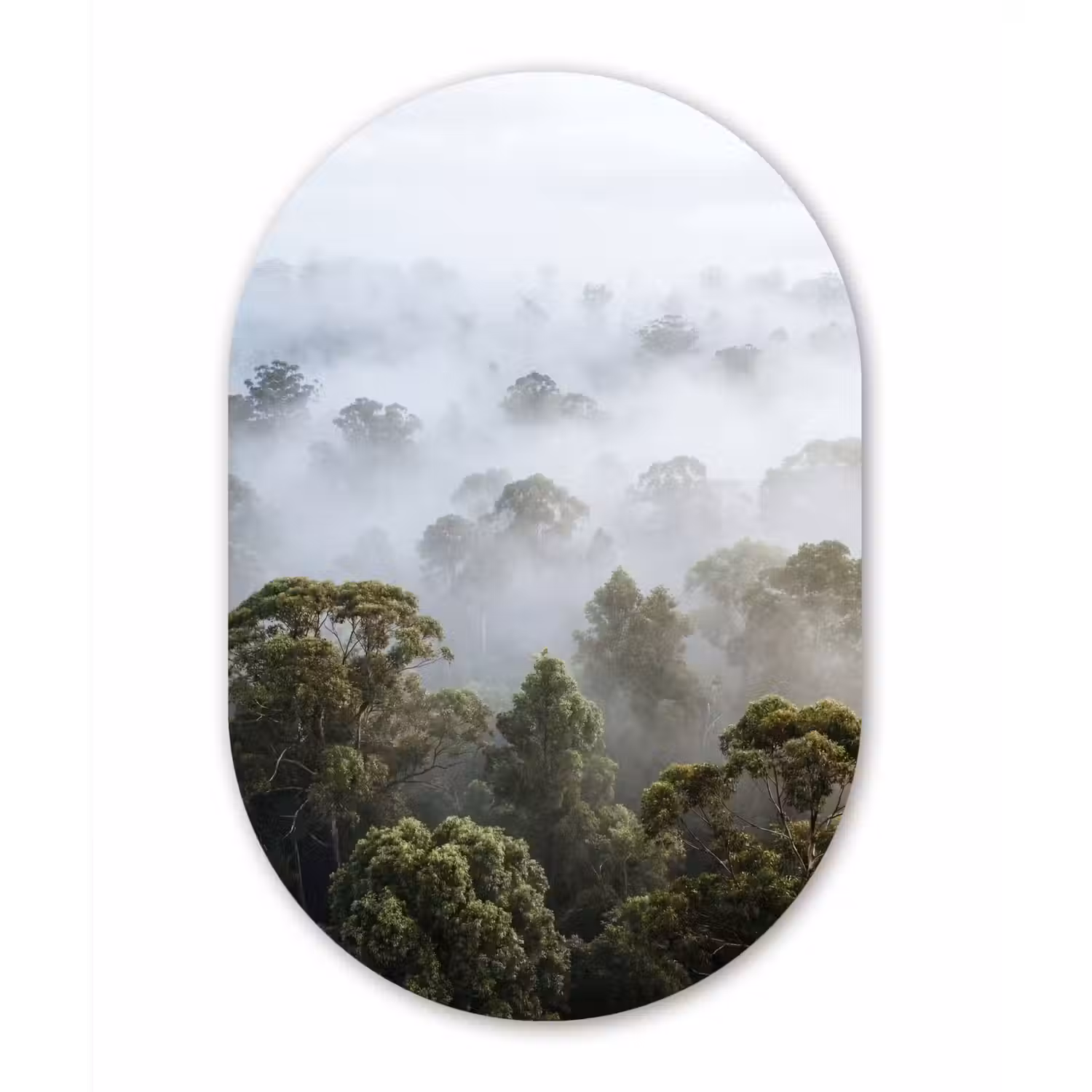 Natuur - Mist - Bos - Ochtend - Goud Wandcirkel Ovaal Aluminium middel -3d