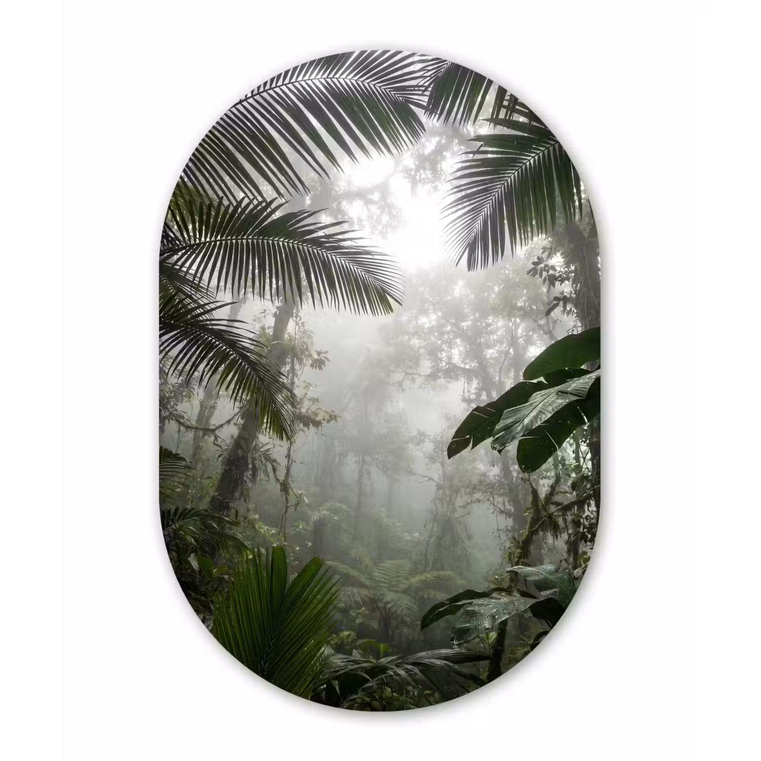 Natuur - Jungle - Mist - Groen - Bladeren Wandcirkel Ovaal Aluminium middel -3d