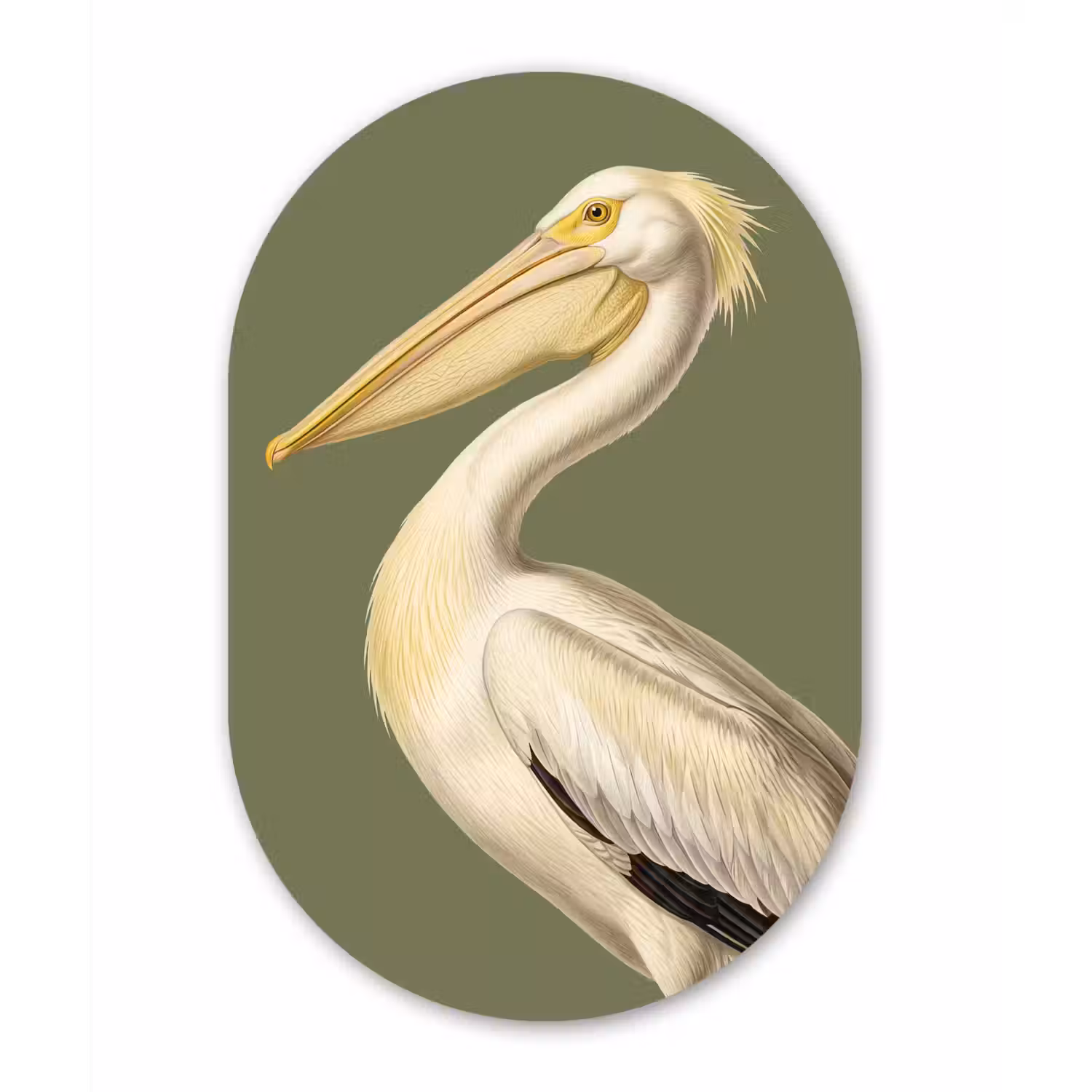 Pelikaan - Wit - Vogel - Klassiek - Natuur Wandcirkel Ovaal Aluminium middel -3d