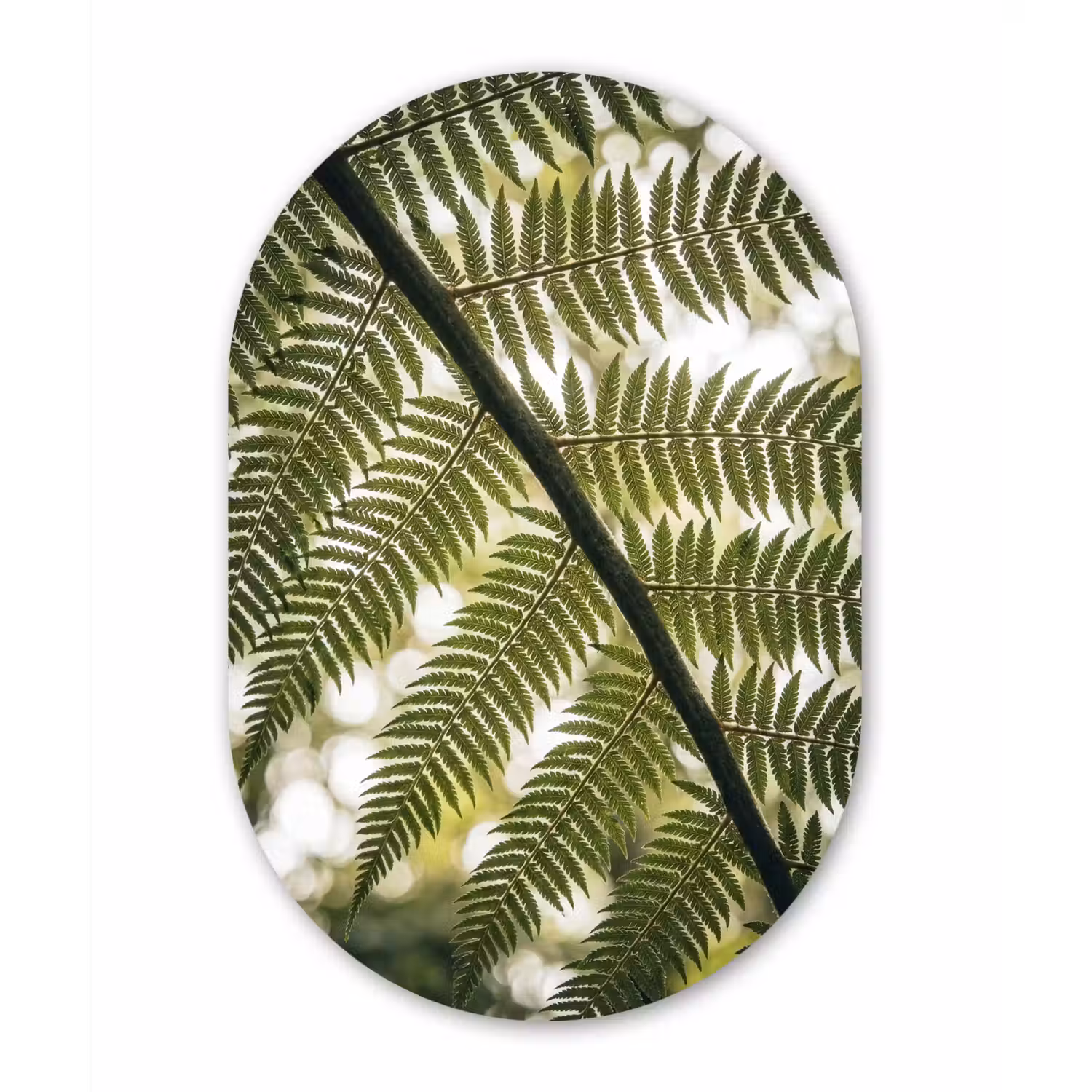 Plant - Blad - Natuur - Groen - Detail Wandcirkel Ovaal Aluminium middel -3d