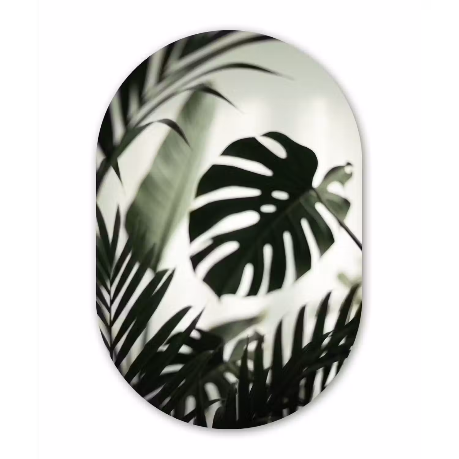 Planten - Bladeren - Natuur - Minimalistisch - Groen Wandcirkel Ovaal Aluminium middel -3d