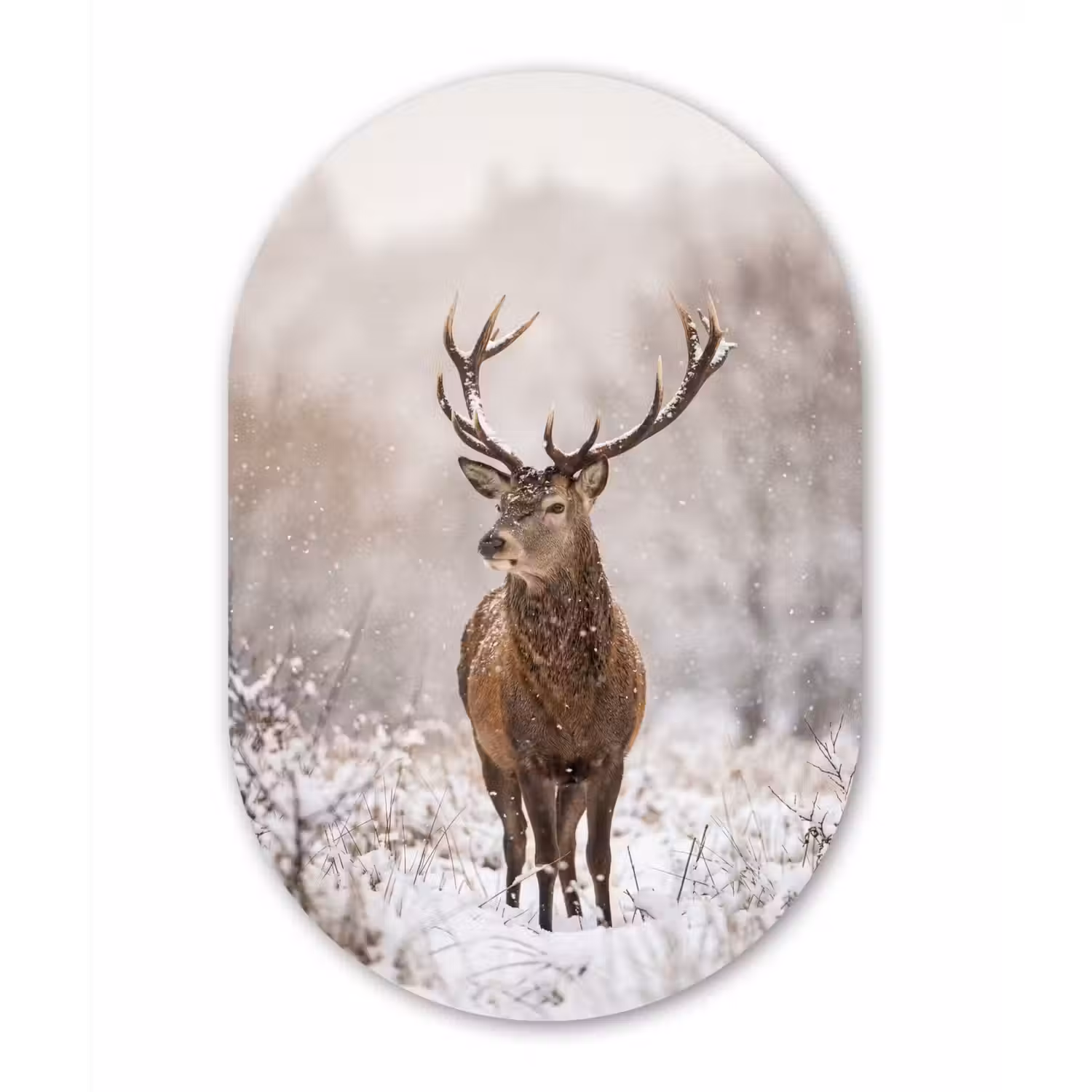 Edelhert - Bos - Sneeuw - Winter - Majestueus Wandcirkel Ovaal Aluminium middel -3d