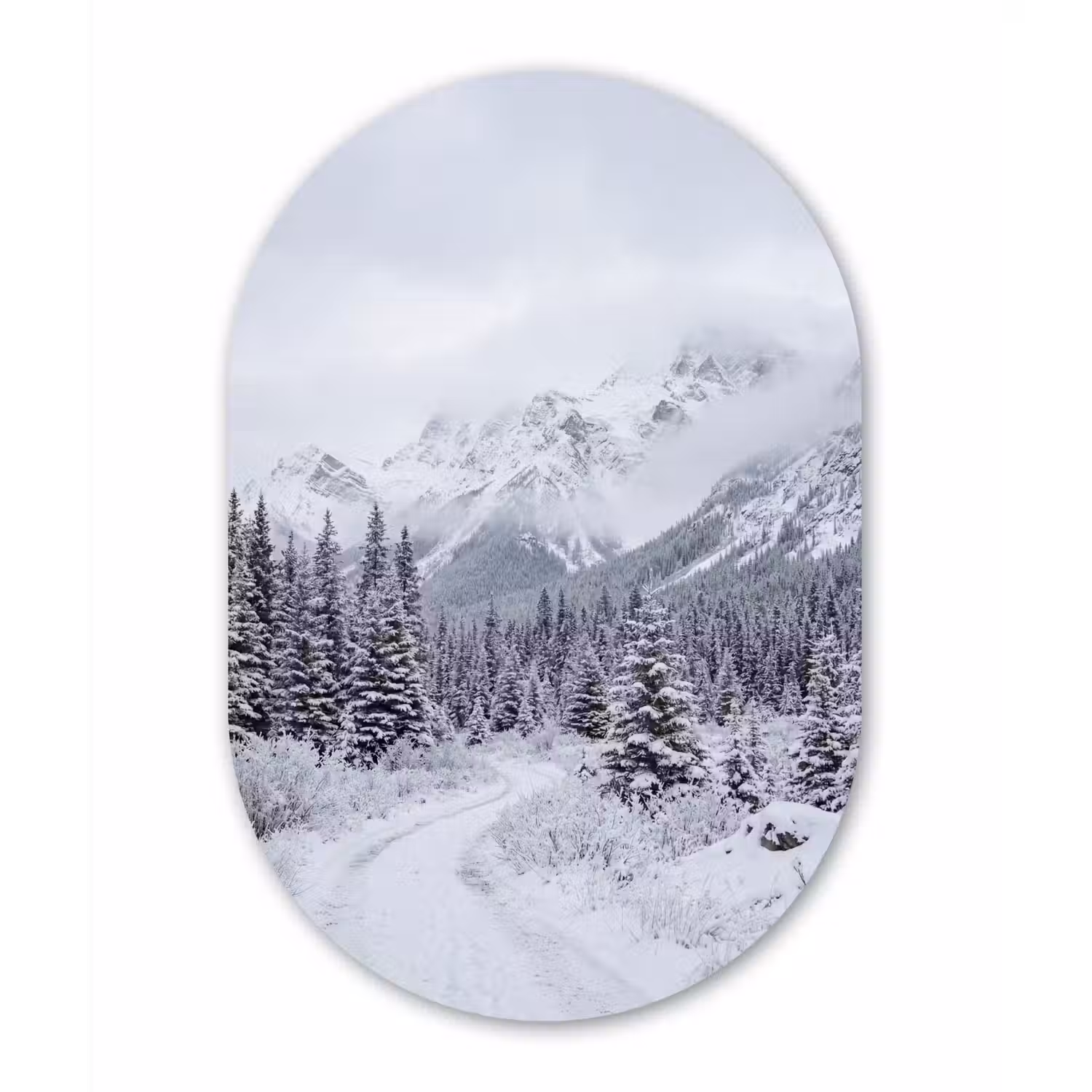 Weg - Bergen - Sneeuw - Naaldbos - Avontuurlijk Wandcirkel Ovaal Aluminium middel -3d